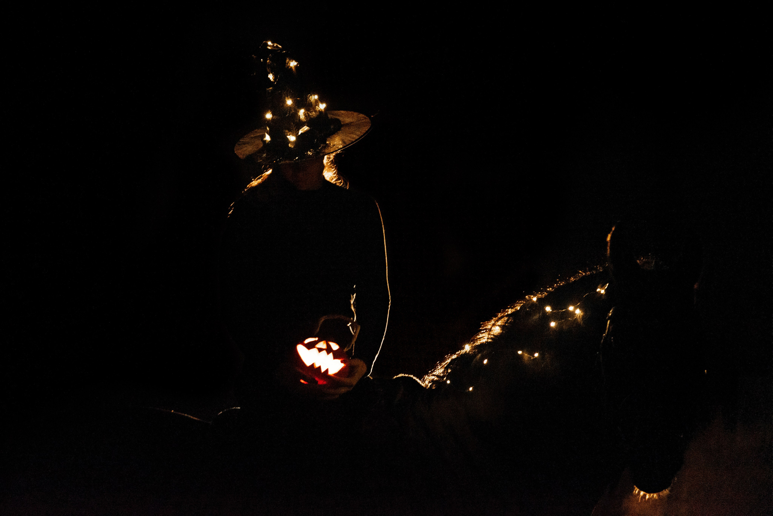 HORSIO Halloween. Конный фотограф Куракина Дарья • Фотосессии с лошадьми