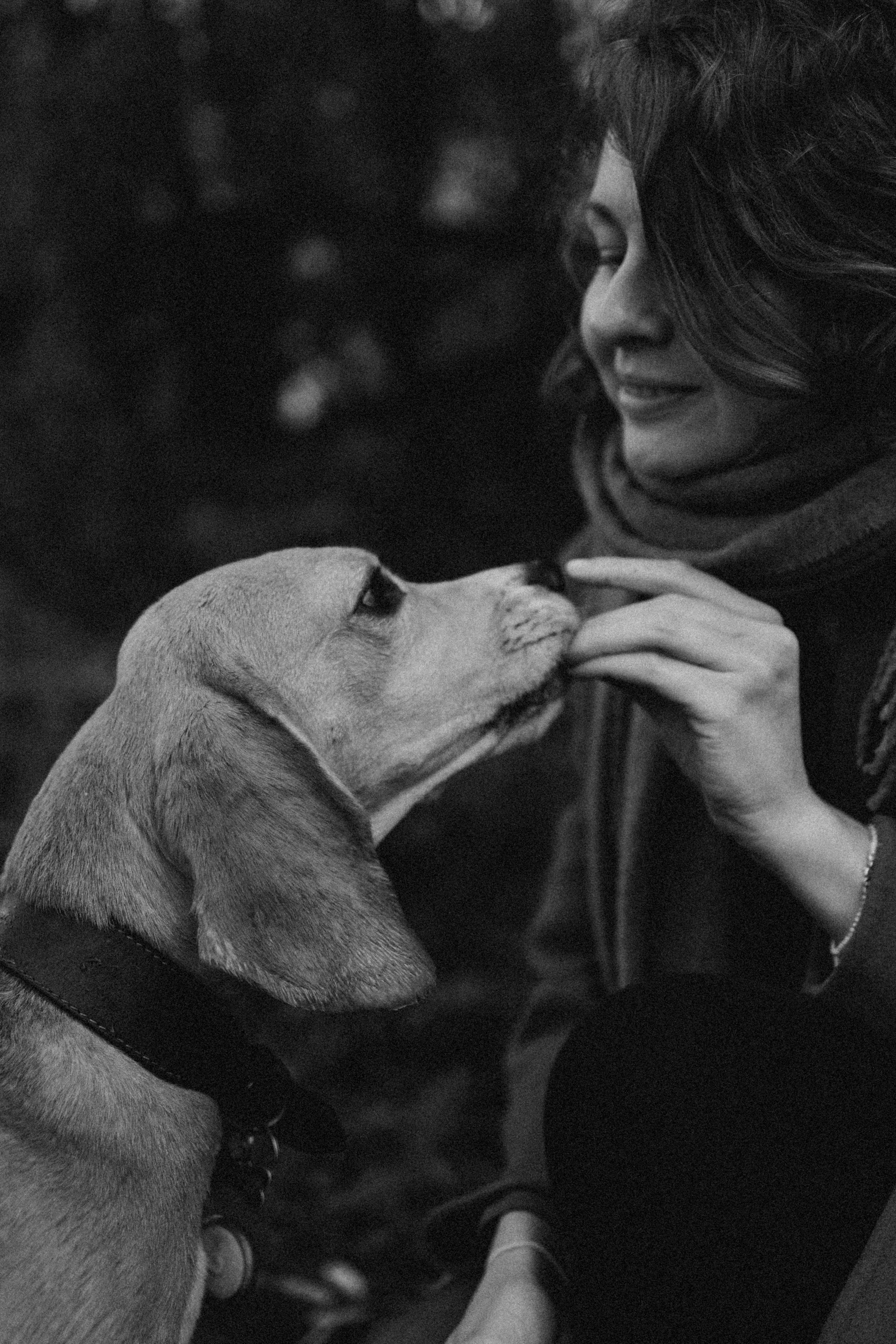 Лена и Тайгер. Фотограф — Анималист | Санкт-Петербург