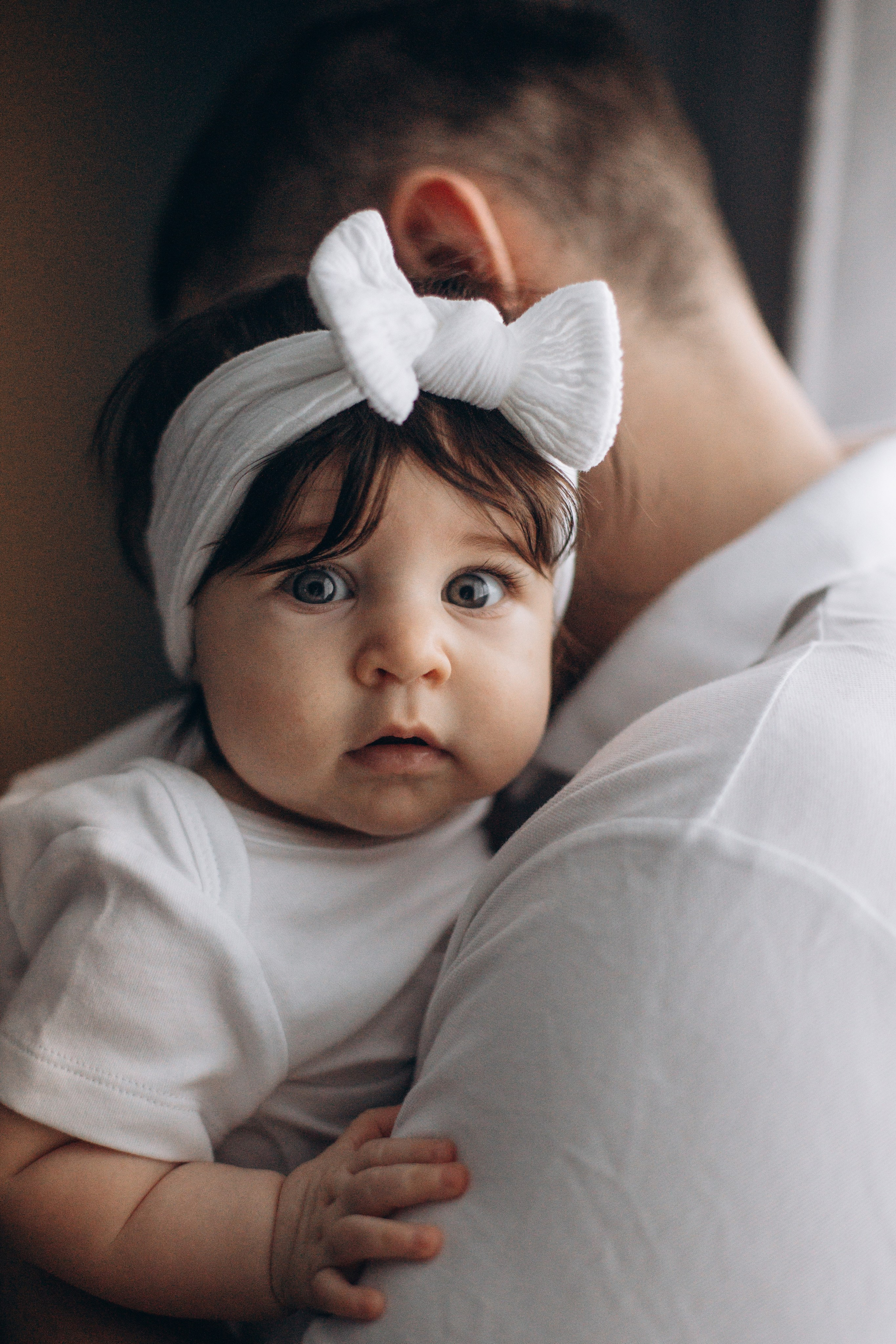 Джой и его семья. Фотограф — Анималист | Санкт-Петербург