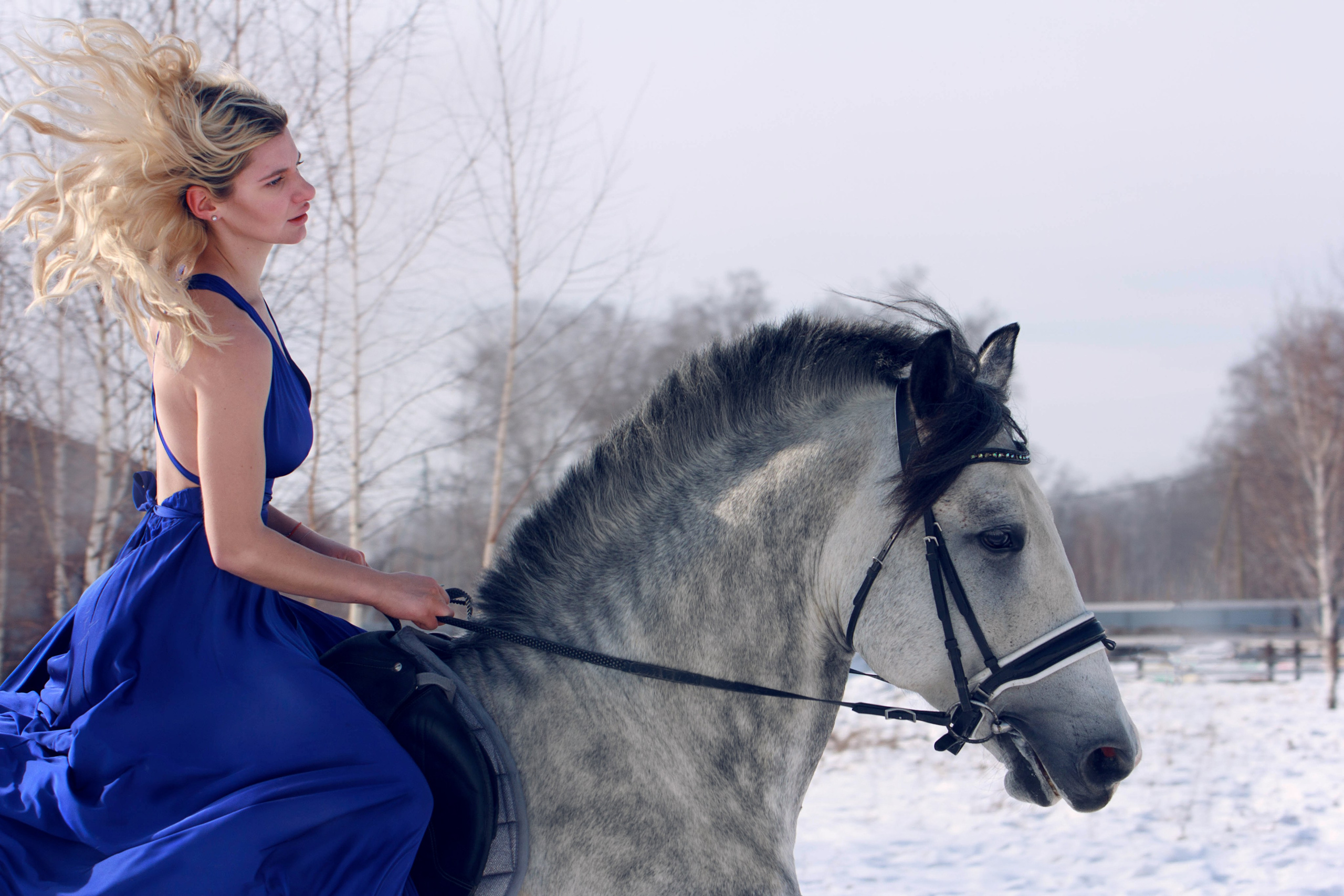 База отдыха Бабушкина дача. Конный фотограф в Красноярске — Любовь Похабова
