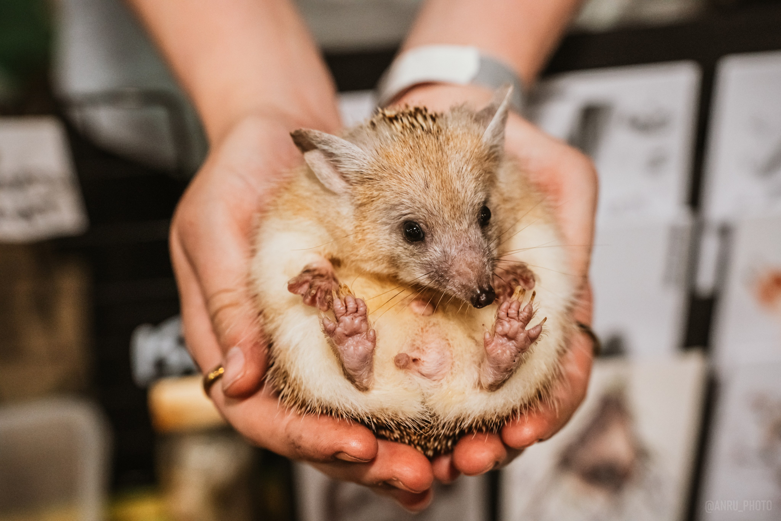 Рептилиум. Репортажный фотограф Анастасия Рубцова