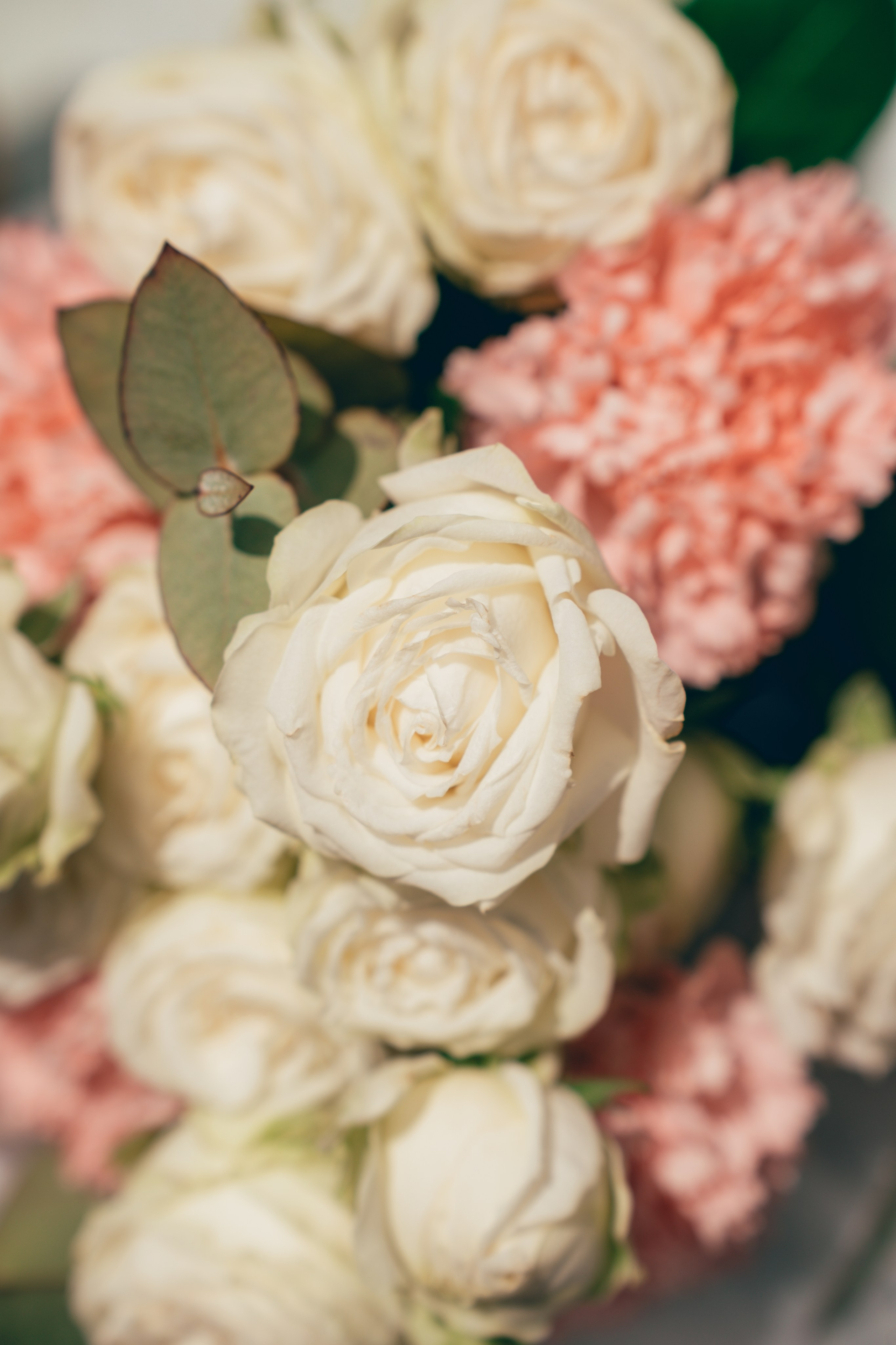 Съемка для брендов одежды КМВ Пятигорск, Железноводск, Ессентуки, Кисловодск Архыз Домбай Фотосессия. Фотограф КМВ|ГОРЫ Пятигорск Железноводск Ессентуки Кисловодск Домбай Архыз Эльбрус