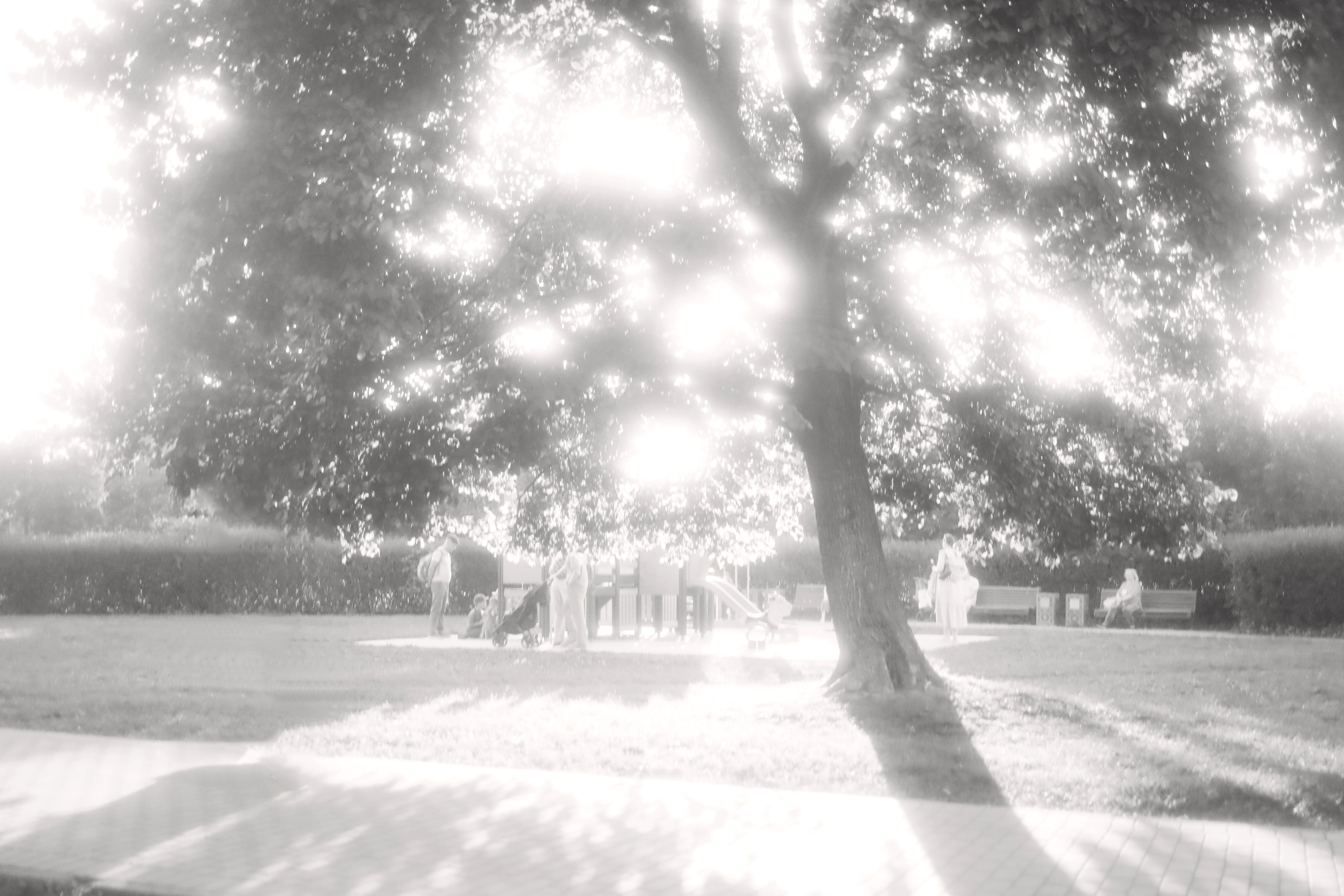 ART. Фотограф Алёна Мирзатуллаева