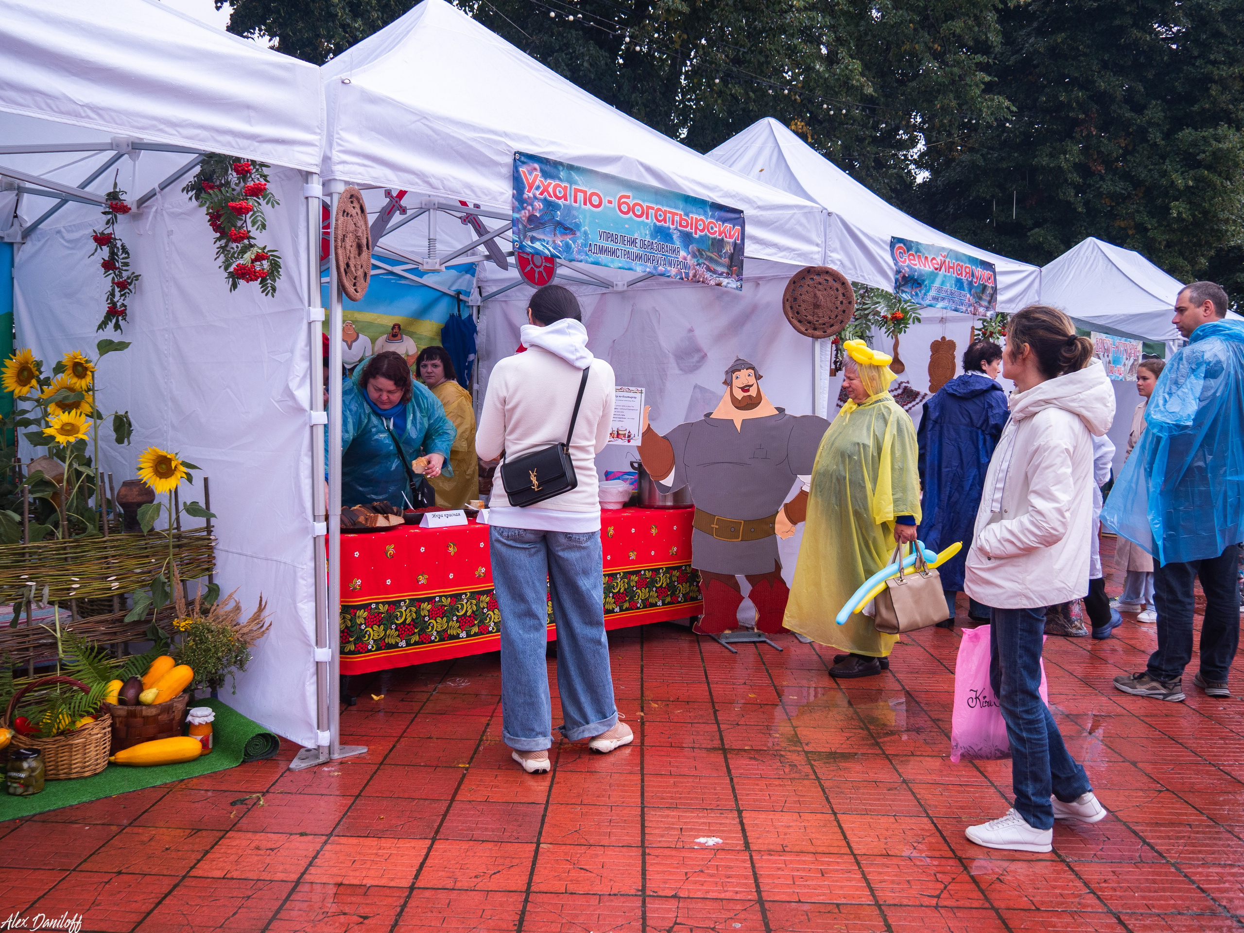 День города Муром 2025. Муром-Инфо. Новости культуры, образования, спорта в городе Муром