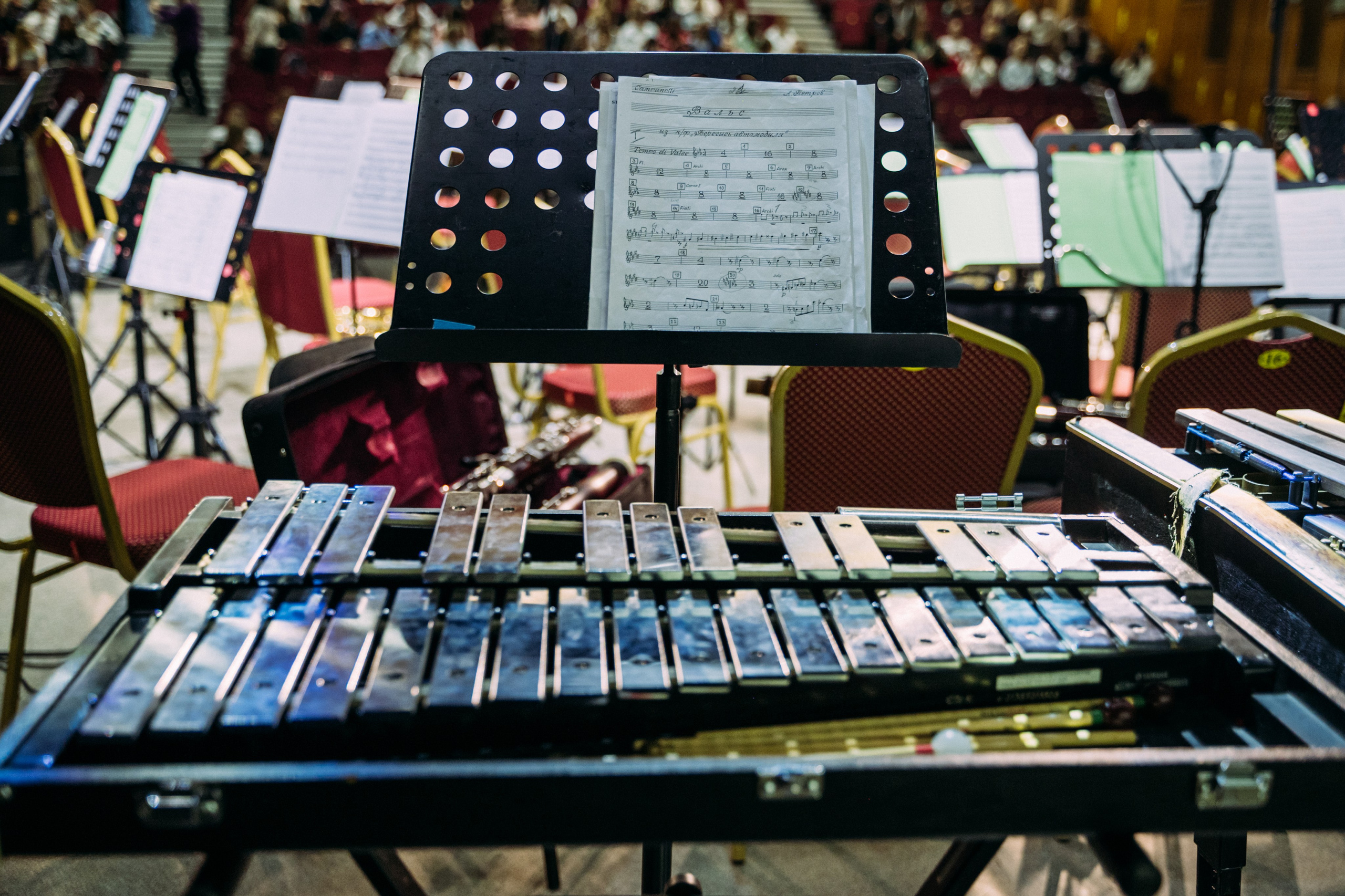 Симфонический оркестр. Фотограф в Волгограде Марина Черных