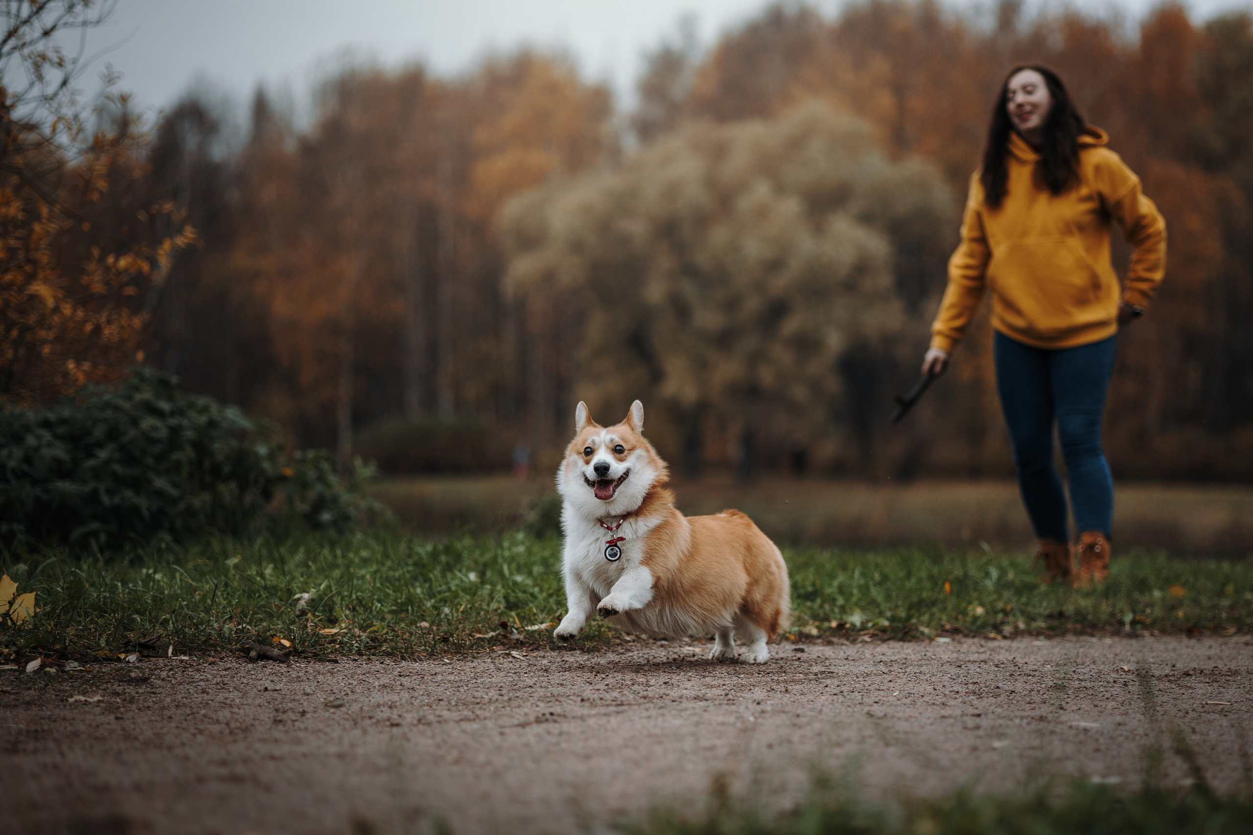 Юля и Терри. Фотограф — Анималист | Санкт-Петербург