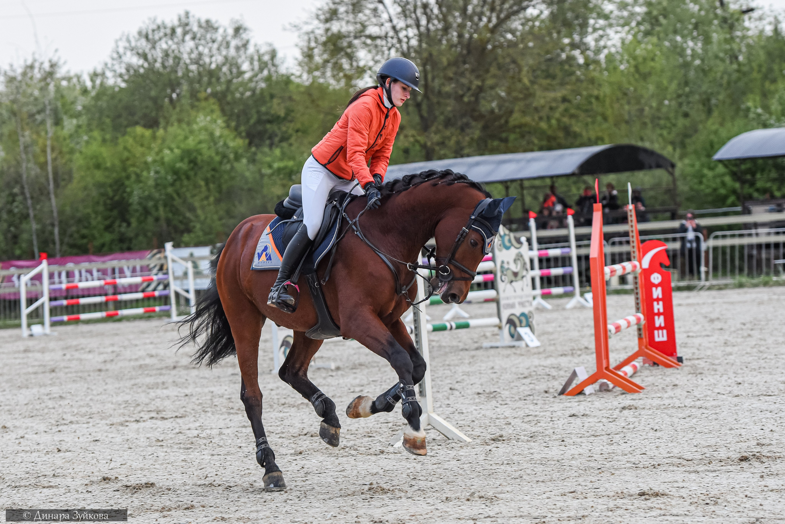 Кони. Мотофотограф в Нижнем Новгороде Динара Зуйкова