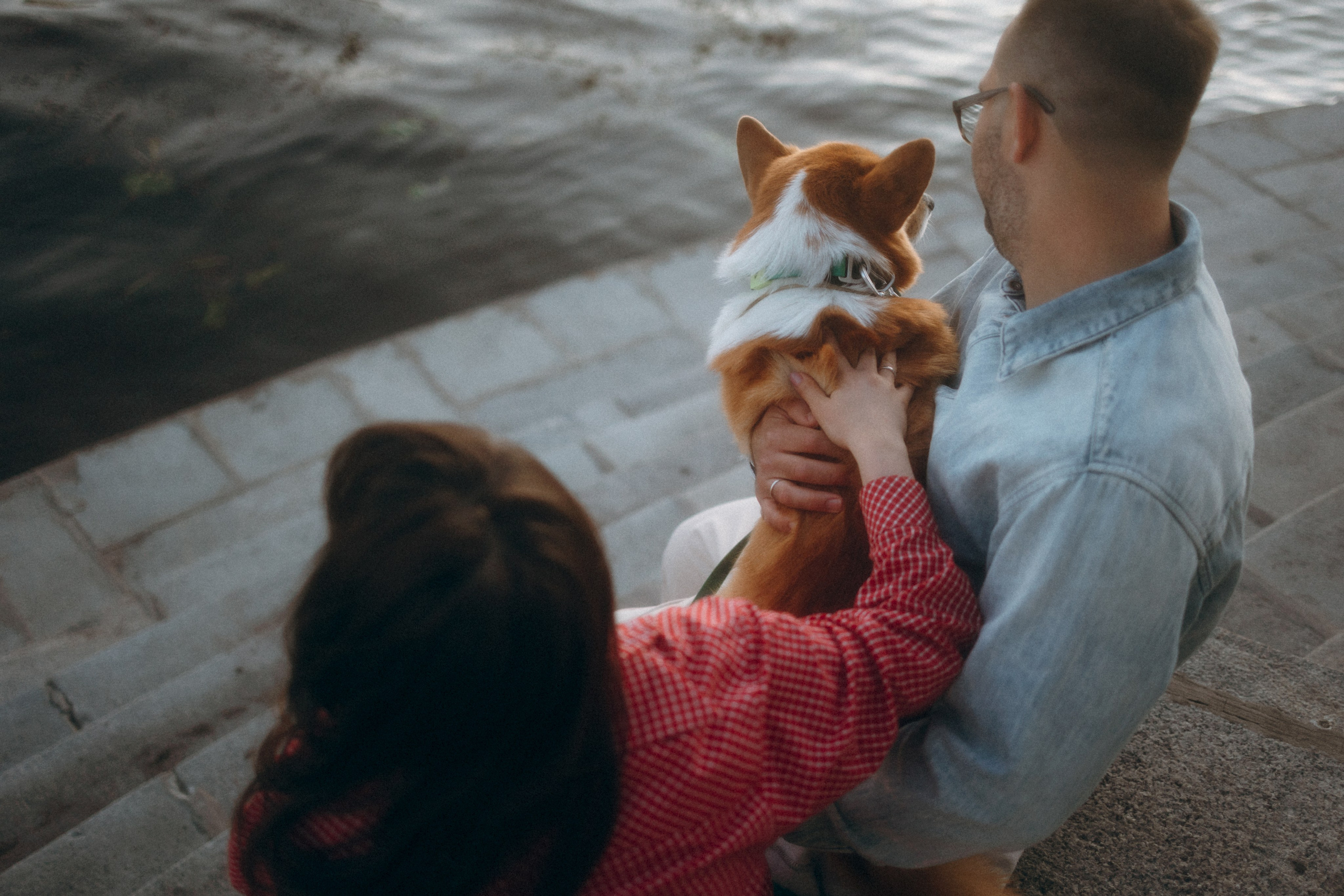 Момо, Люда и Эд. Фотограф анималист Анастасия Пикей