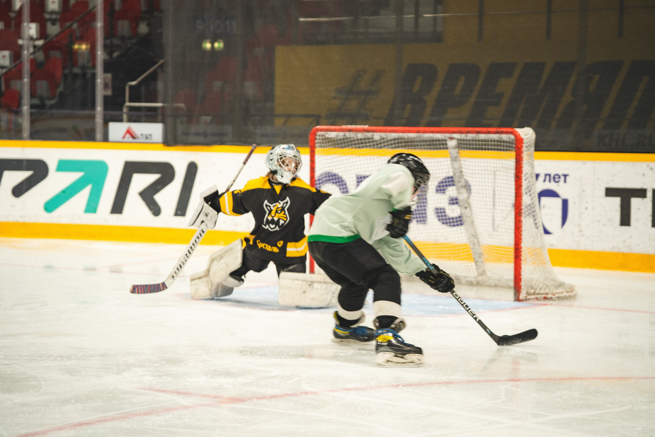 ХК Северсталь (младшая группа). Череповец. Zekons. Фото, видео, нейросети