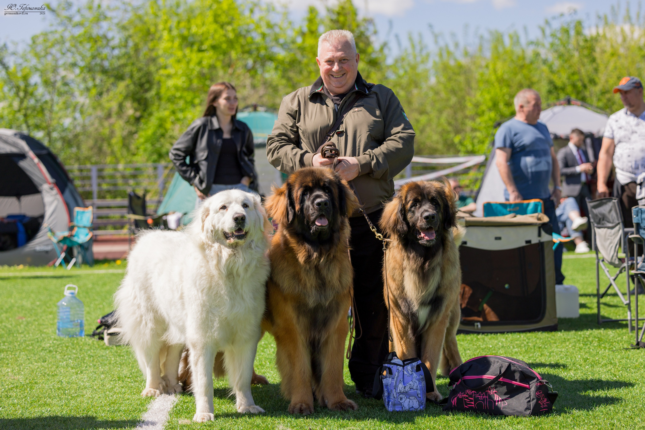 Суздаль 18-19.05.2024. Фотограф-анималист Юлия Германика