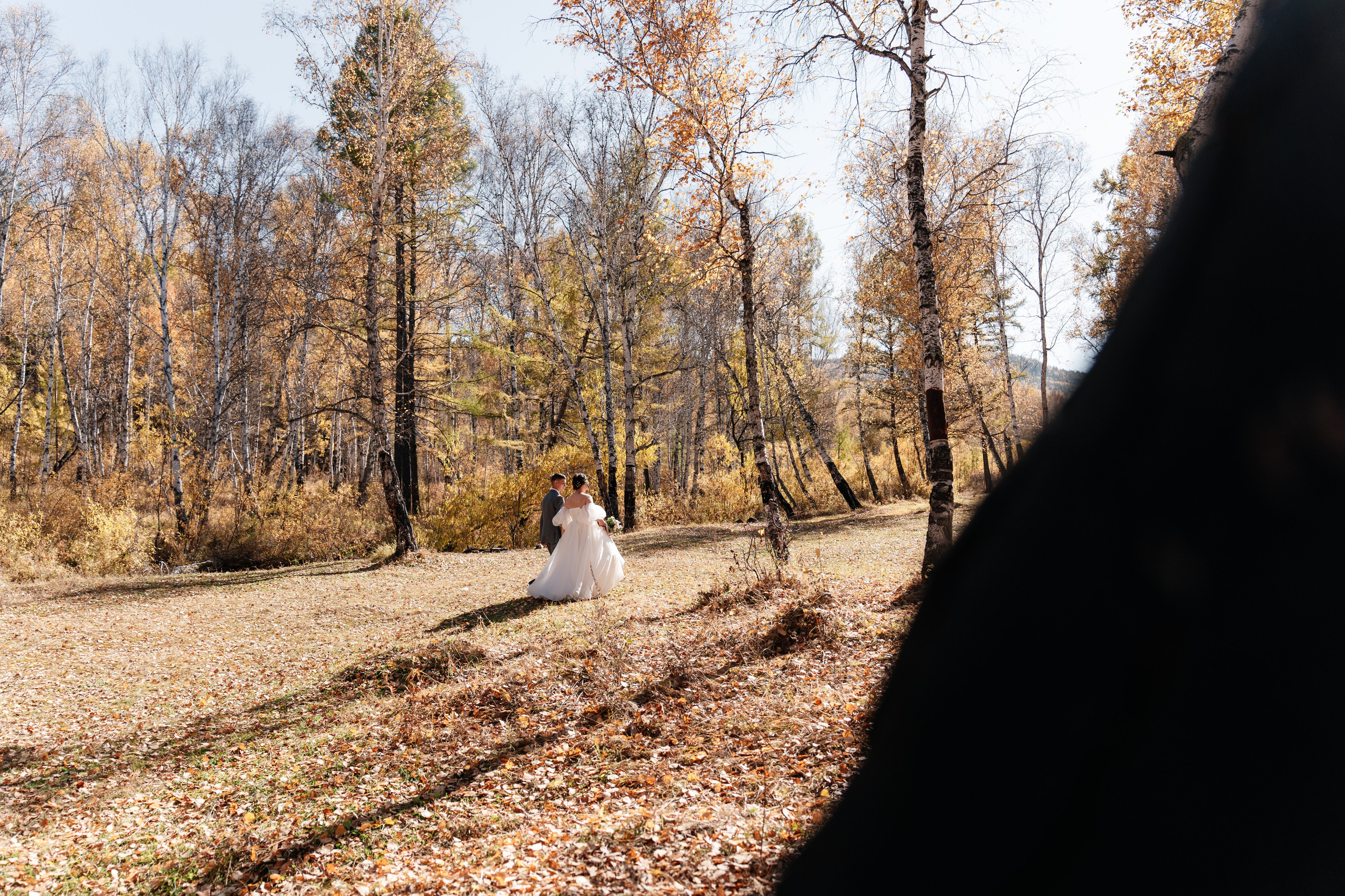 22 октября. Свадебный Фотограф Чита Малахов Филипп