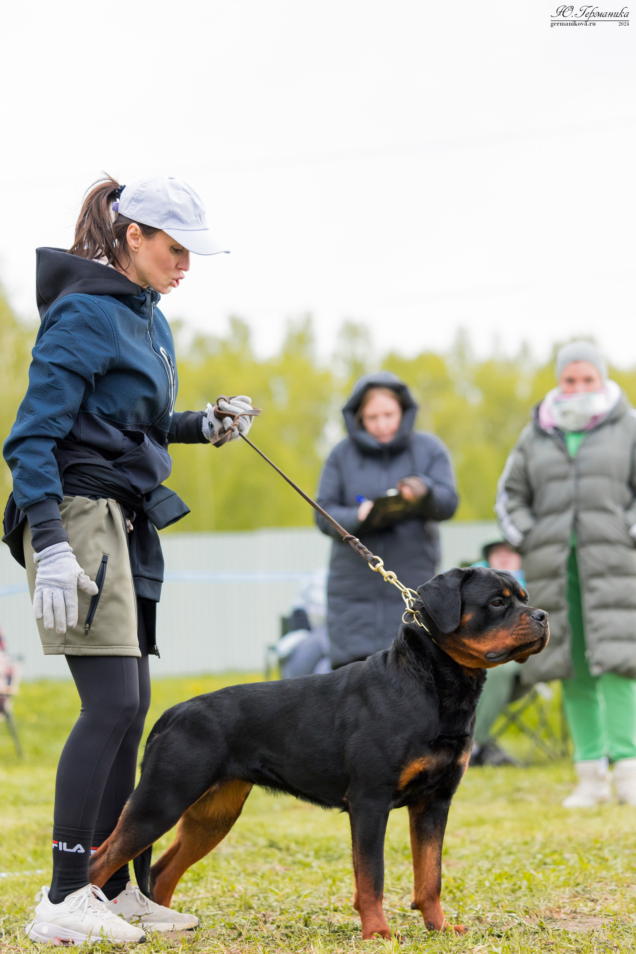 Нижний Новгород 11-12.05.2024 моно ротвейлеров. Фотограф-анималист Юлия Германика