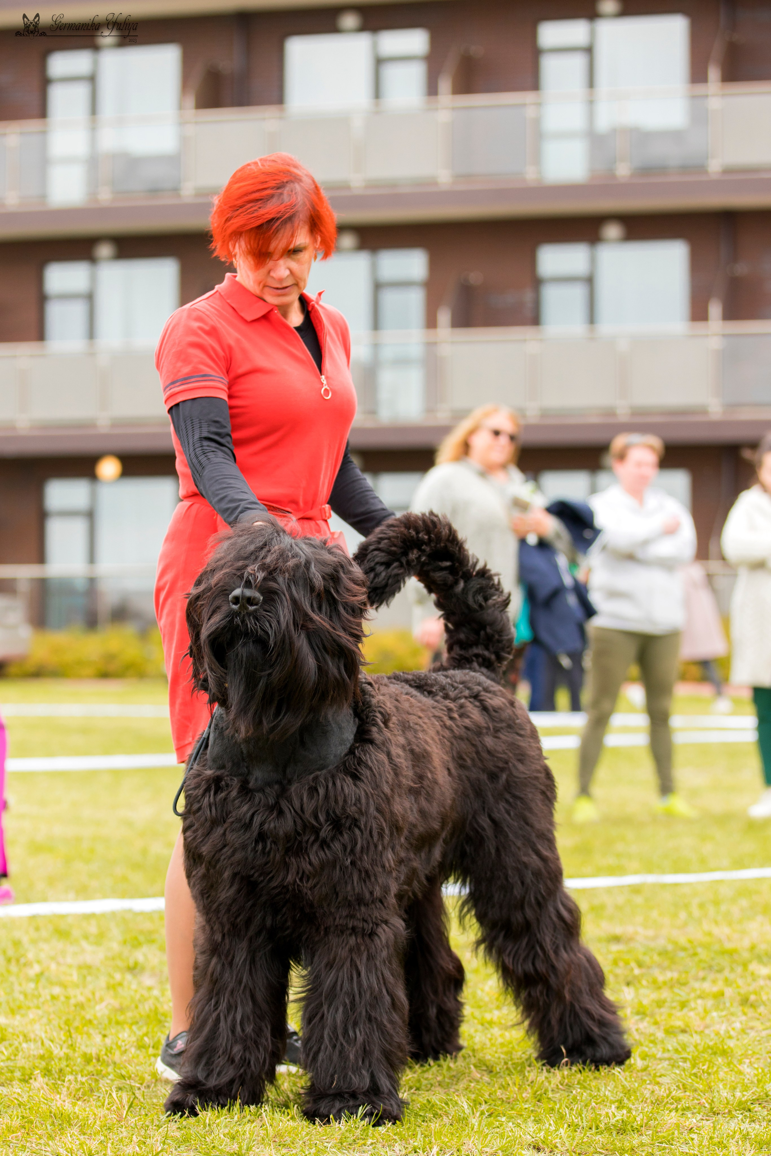 Переславль 9-10.09.2023. Фотограф-анималист Юлия Германика