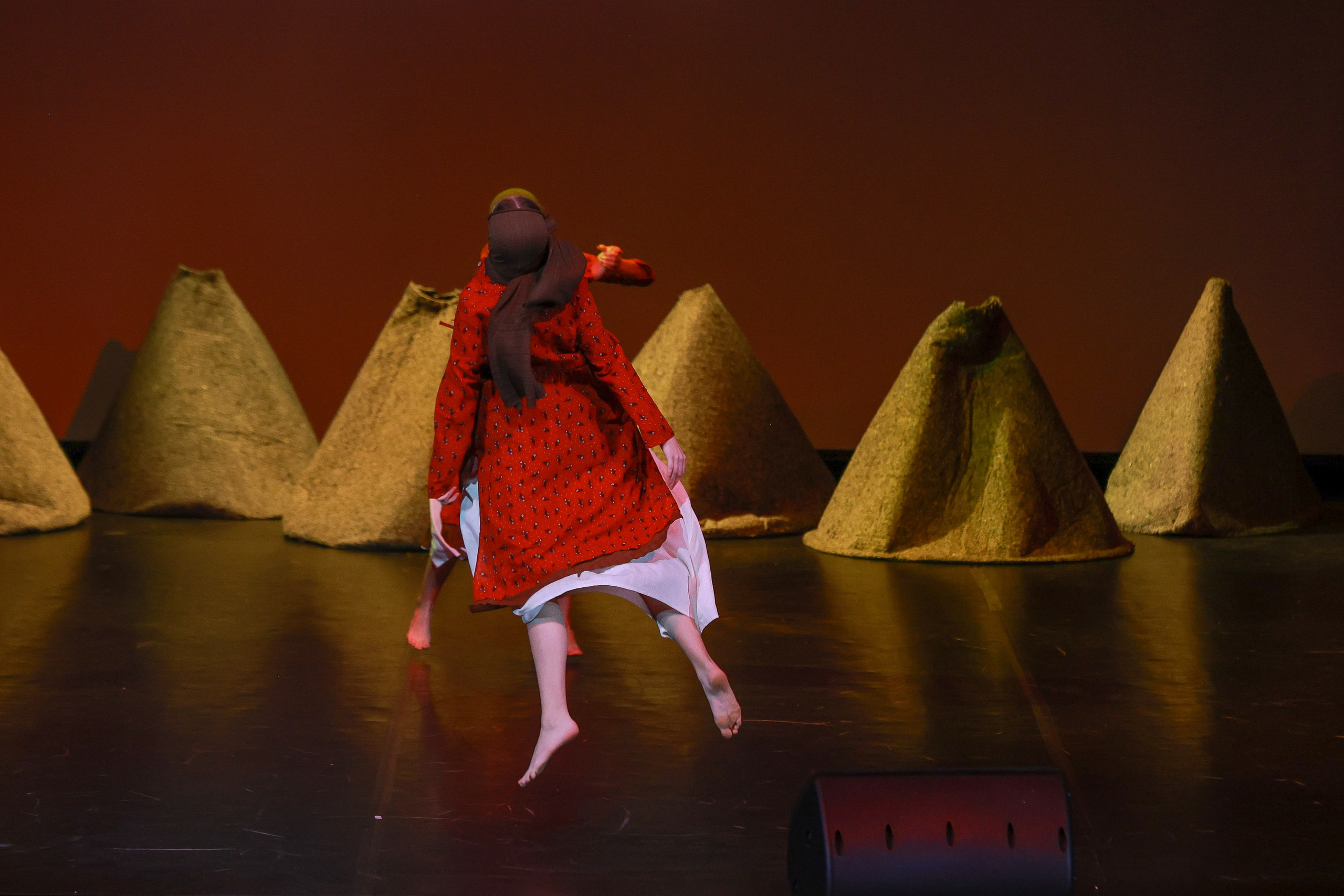 Небесные ласточки на Танц ЭКСПО 2026. Фотограф Юлия Мальцева