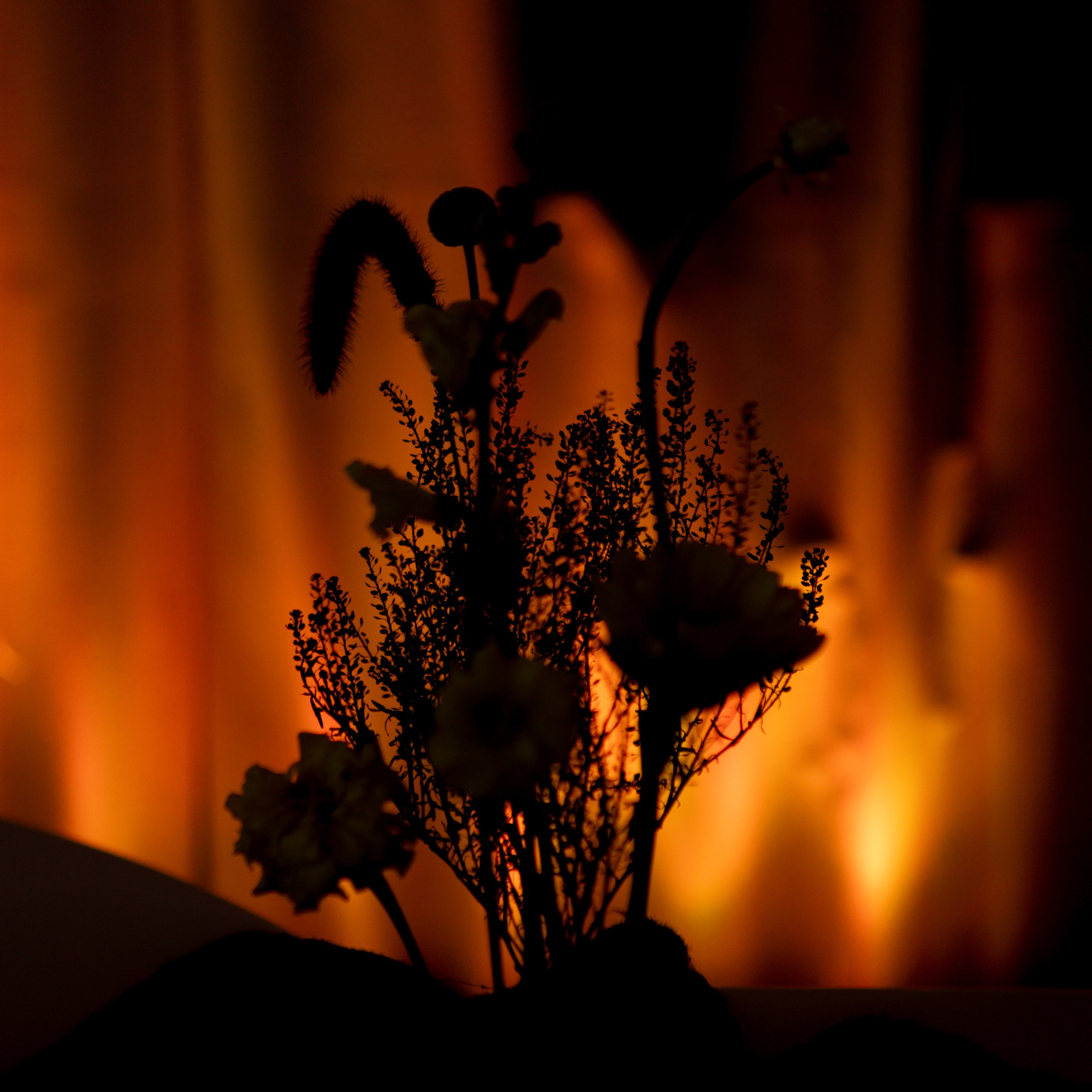 Я глаза твои видел и горы. Фотограф @alexandradmitrievaph