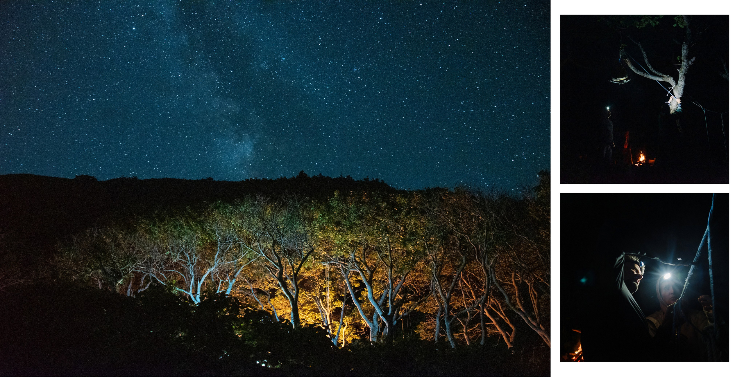 Сахалин и Курильские острова. Фотограф Алиса Калинина