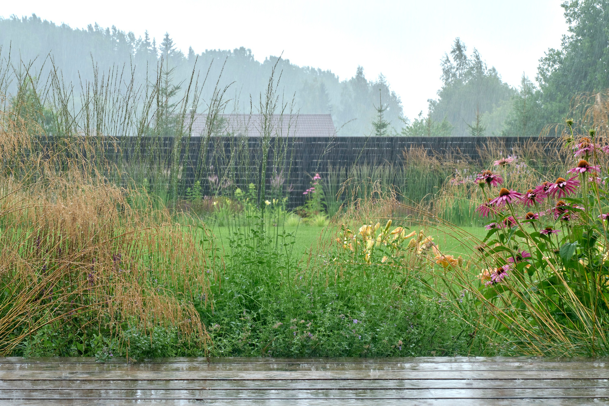 Ландшафтный и интерьерный фотограф Наталья Соловьева. Фотосъемка частного сада под Гатчиной для Таисьи Игошиной | interioto