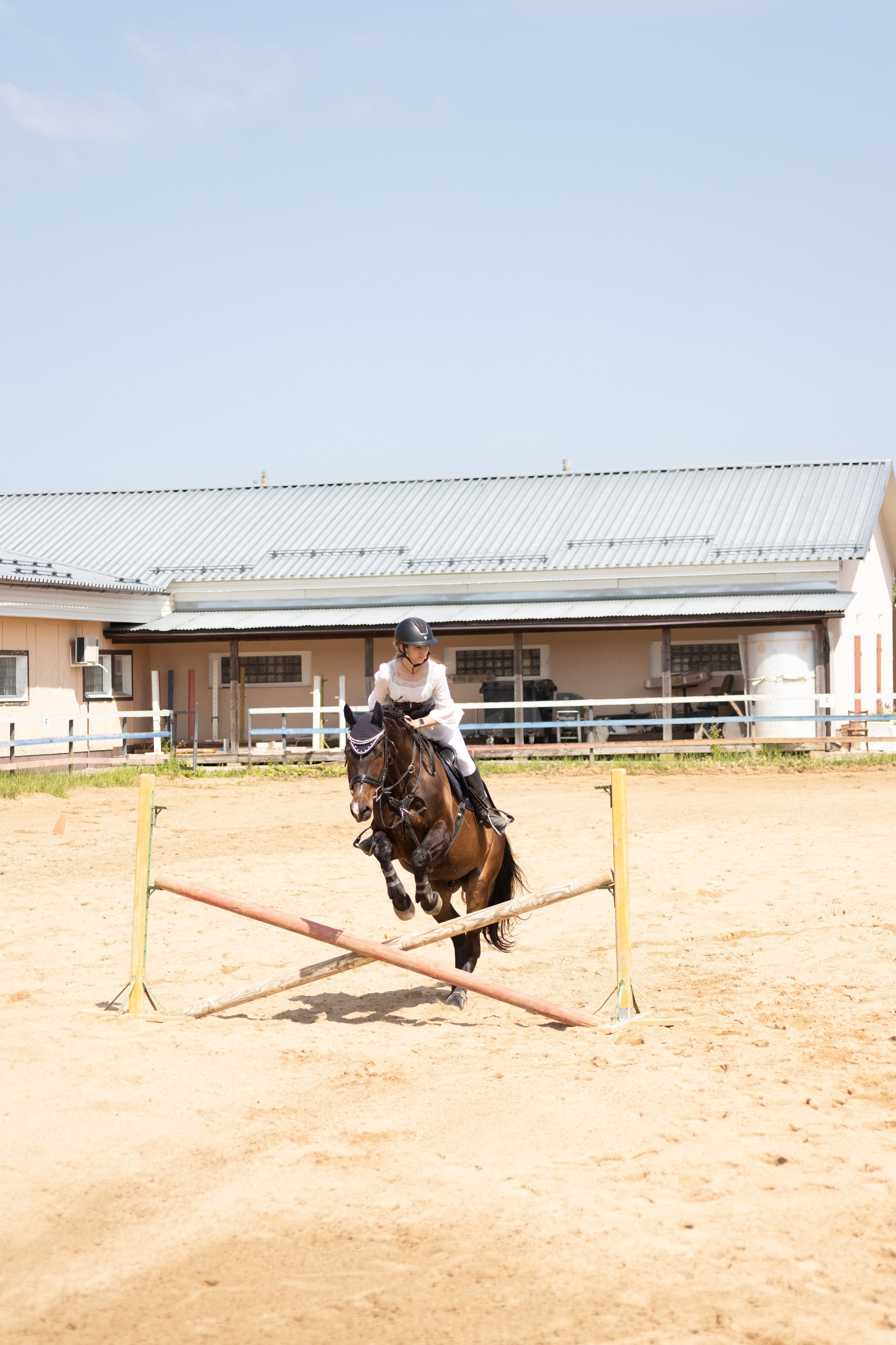 Конюшня. Фотограф в Москве и Истре