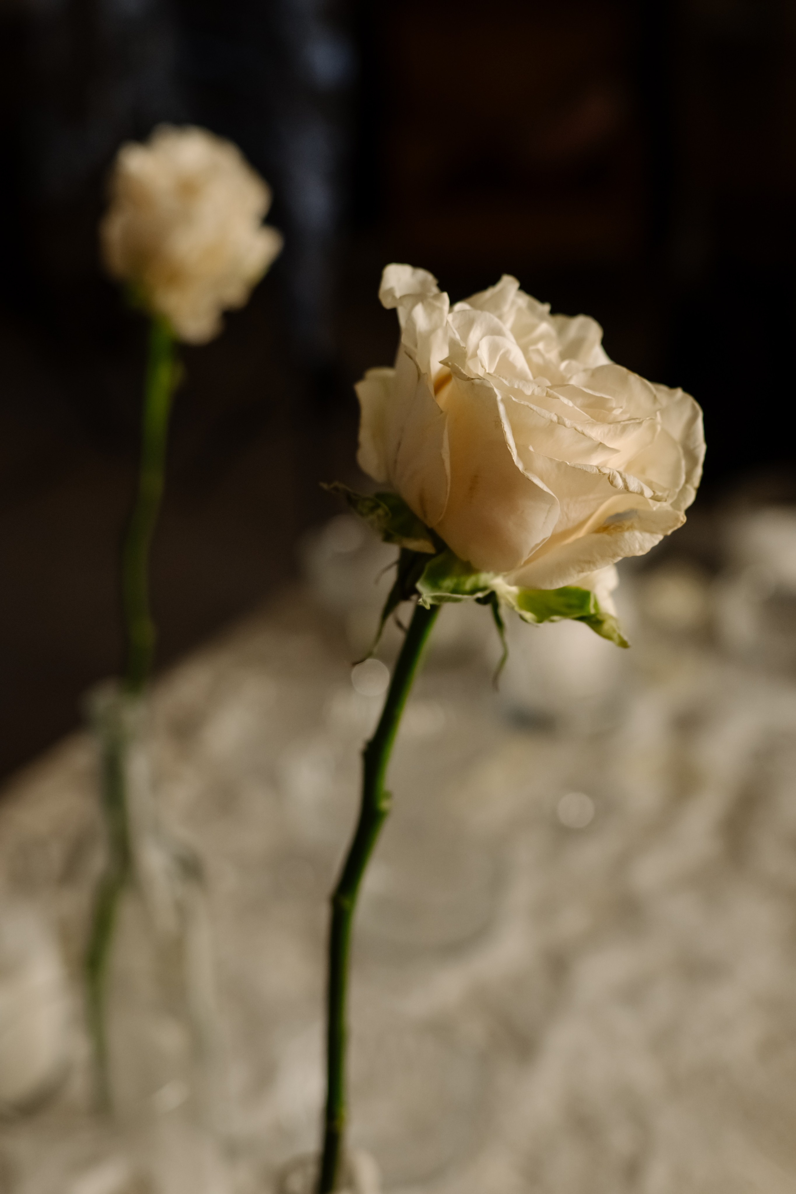 Индивидуальная. Со свечами. Свадебный и сеейный фотограф в Санкт-Петербурге Елена Худякова