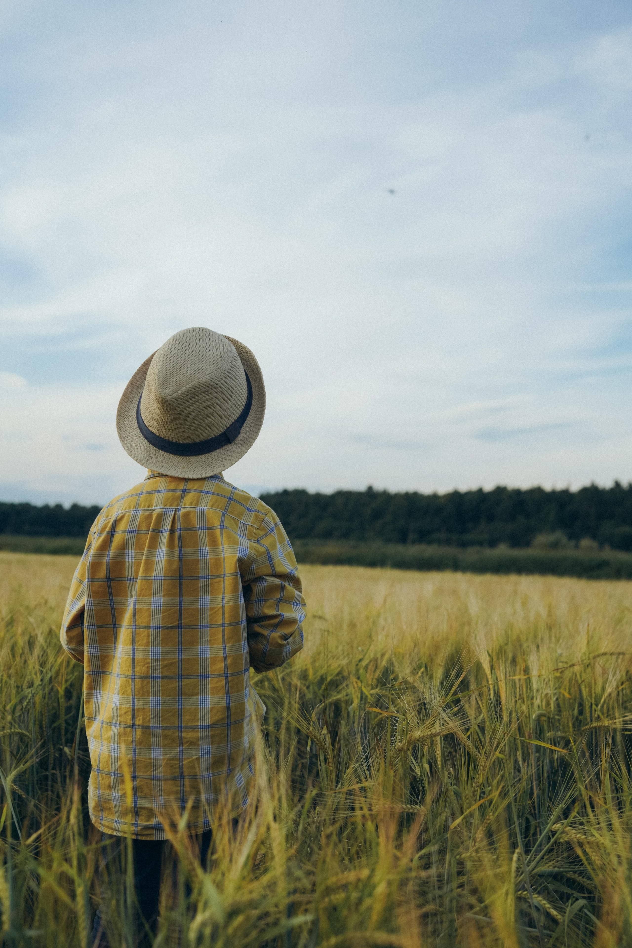 Пшеничное поле. Семейный и женский фотограф в Санкт-Петербурге Татьяна Стружкина