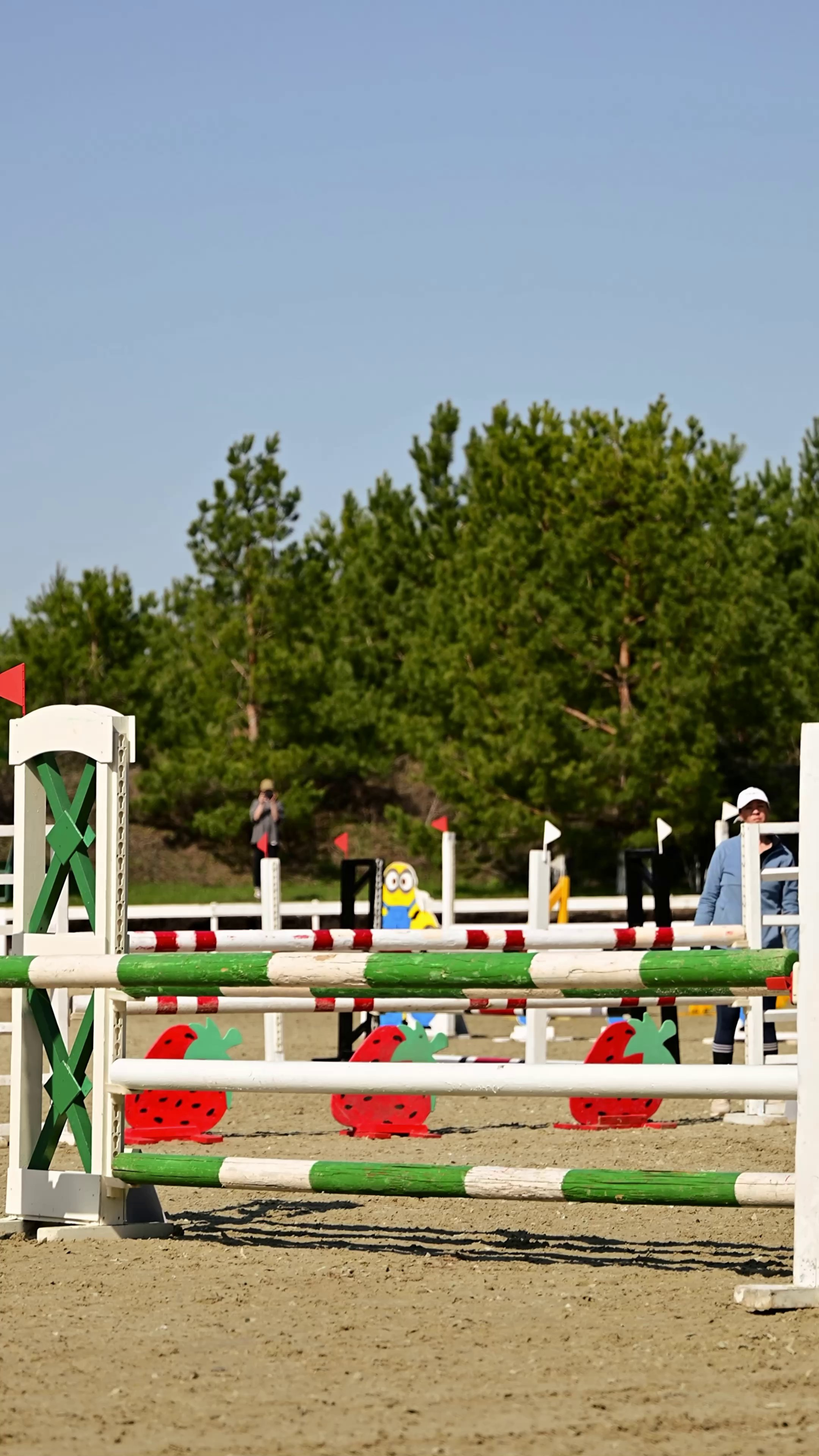 Видео Конкур|Рысистые бега. Мила Астахова