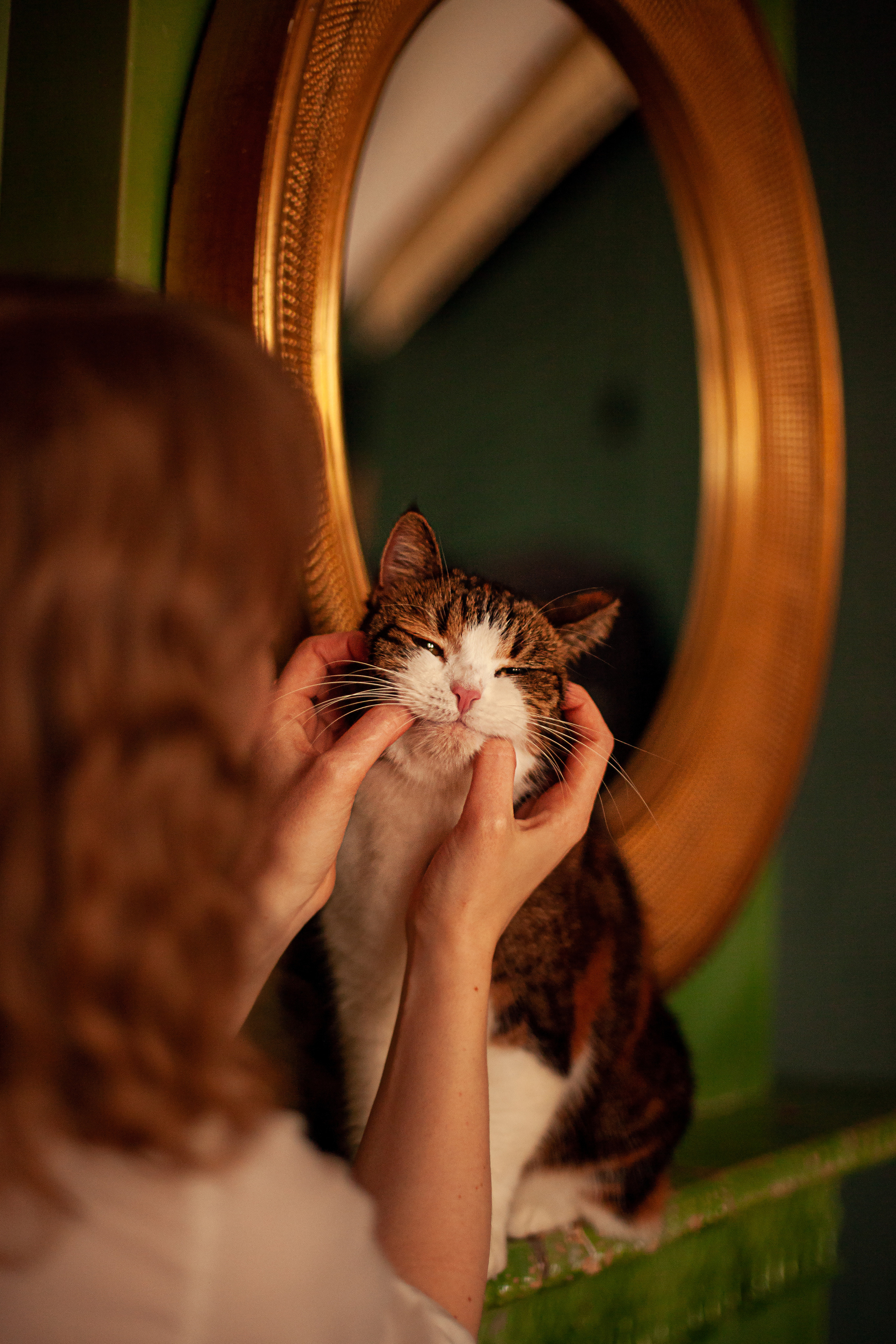 Ольга и ее кошечка Кася. Фотограф Наталья Яковлева, Санкт-Петербург. Семьи, ньюборн, крещения