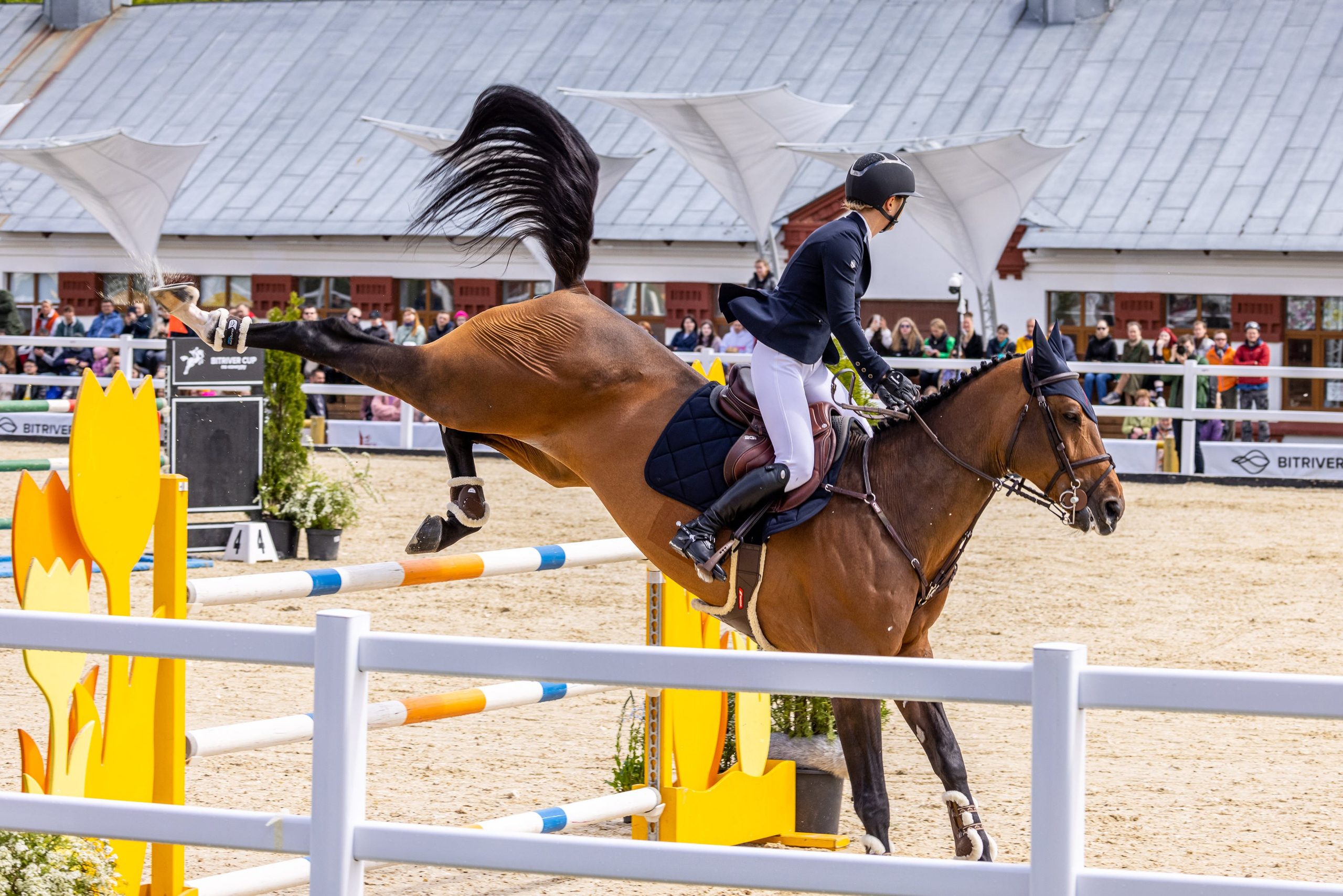 Конкур. Mrs.Aquarelia Конный фотограф Марианна Леонтьева