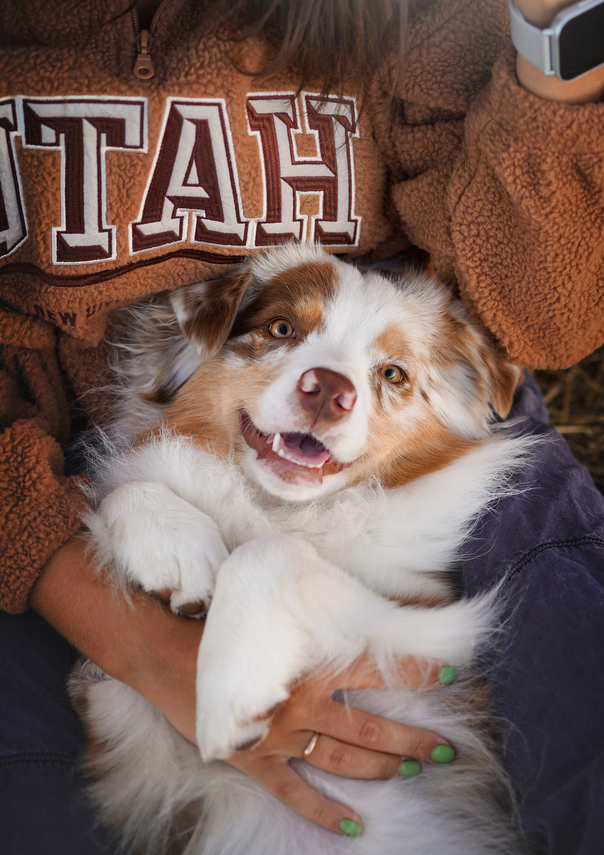 Панда и стога. Фотограф-анималист в Санкт-Петербурге Яна Мартынова