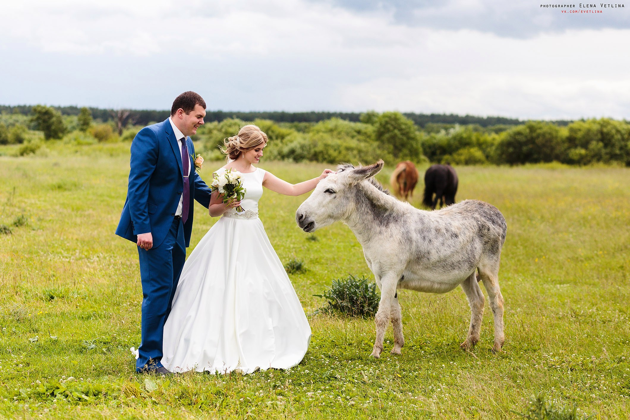 Свадебное портфолио. Семейный и свадебный фотограф в Новороссийске