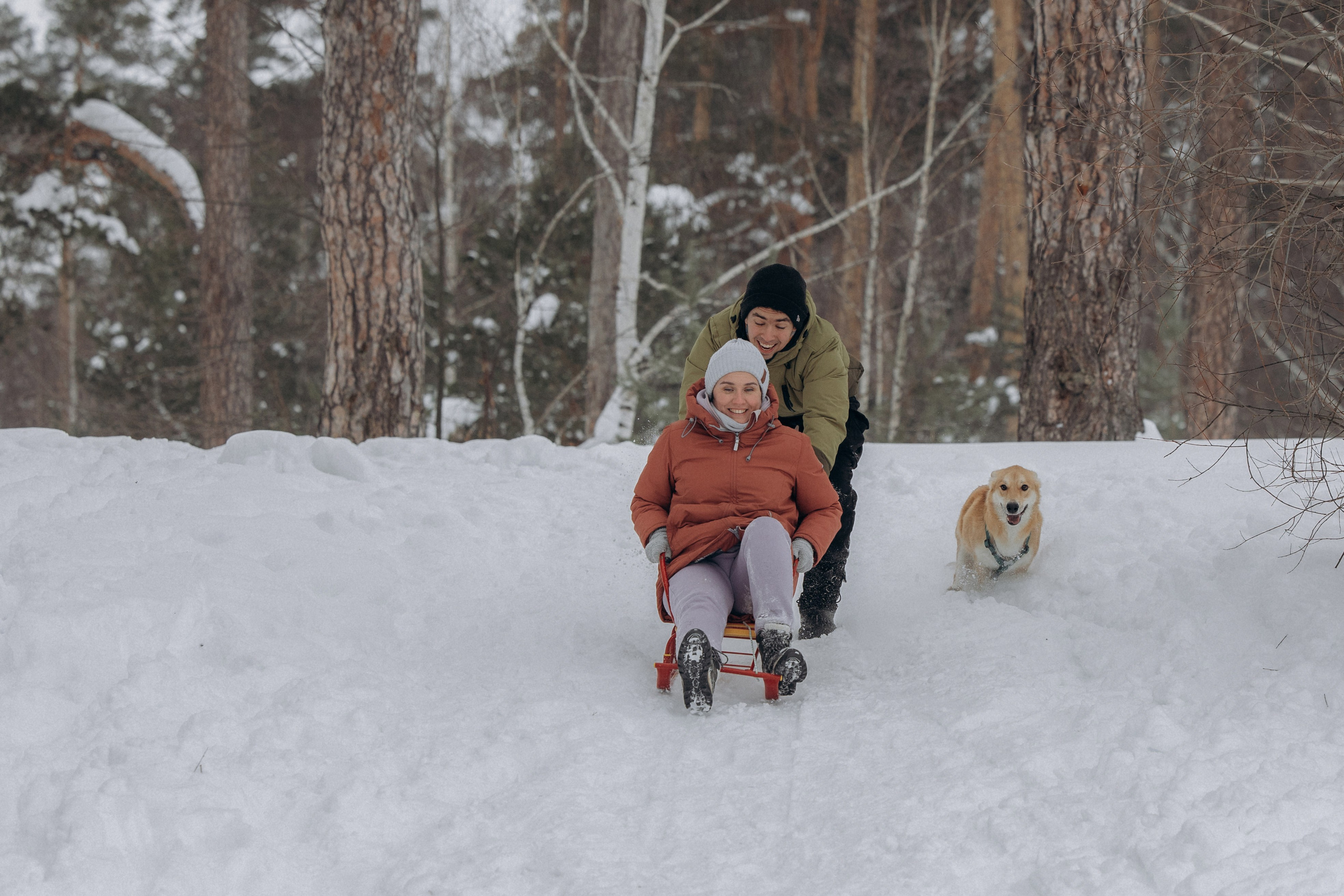 Прогулка на озере зимой. Фотограф анималист в Казани Алина Сулейманова. Фотограф животных