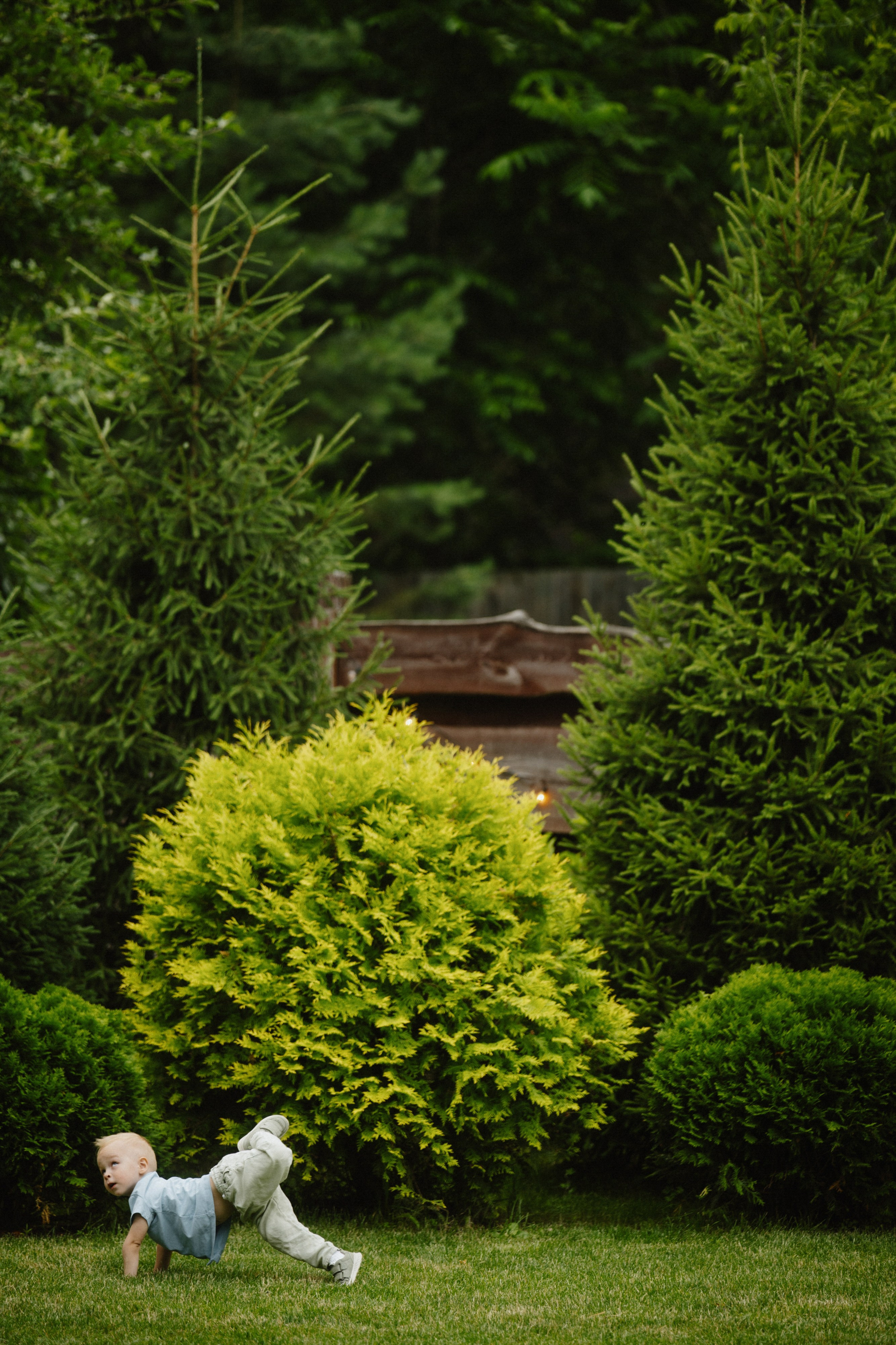 Жара, июнь. Свадебный фотограф Саша Базенко