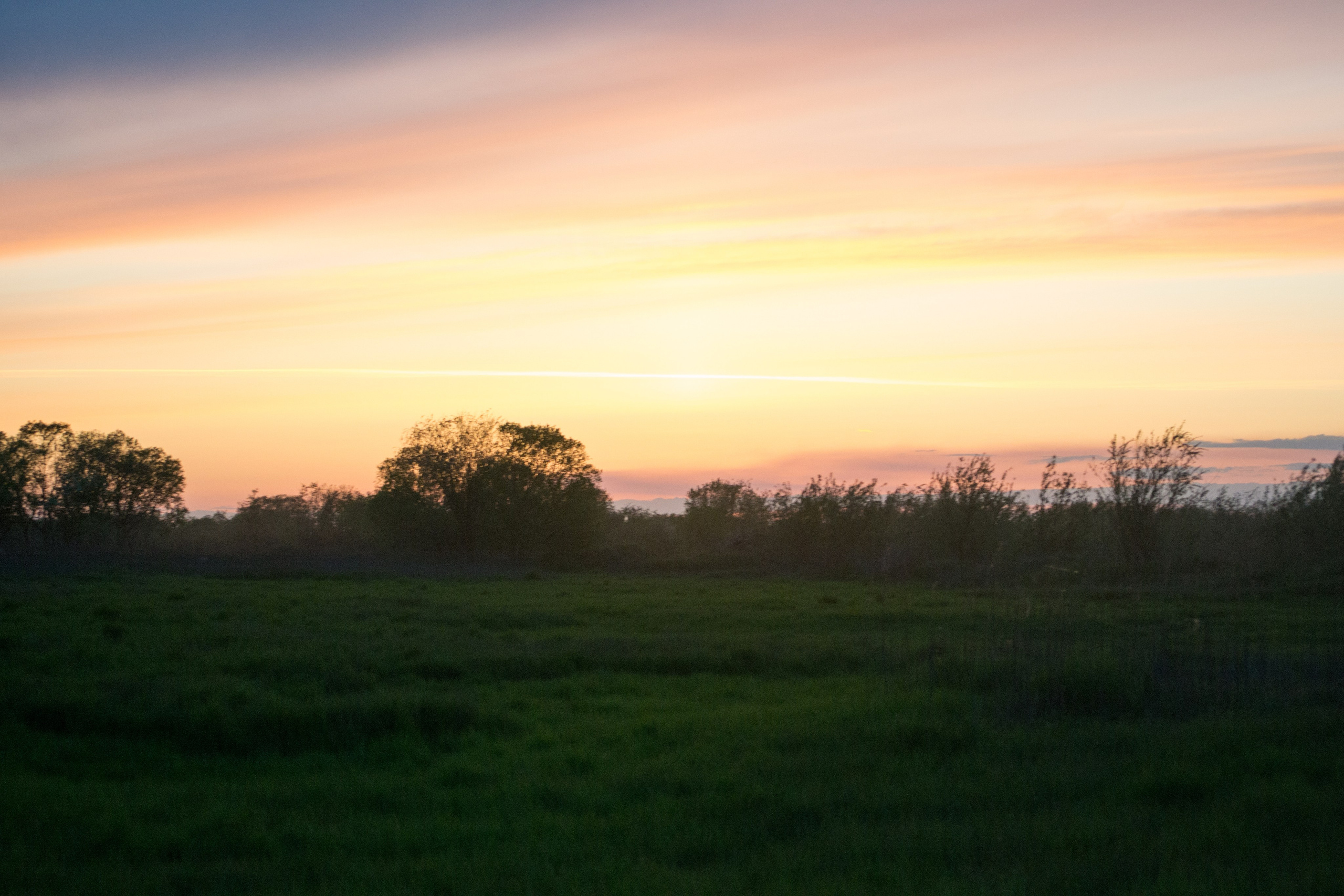 дачи, город, архитектура, стрит, репортажная фотография, фотография, Хабаровск, фотосессия, фотограф, дом, новостройка, улицы, жизнь города, town, art, photo, photographer, photo, Khabarovsk, Far East, street photo, природа, Дальний Восток, тайга, цветы, закат, небо, облака, nature, clouds, forest, flower, sunset