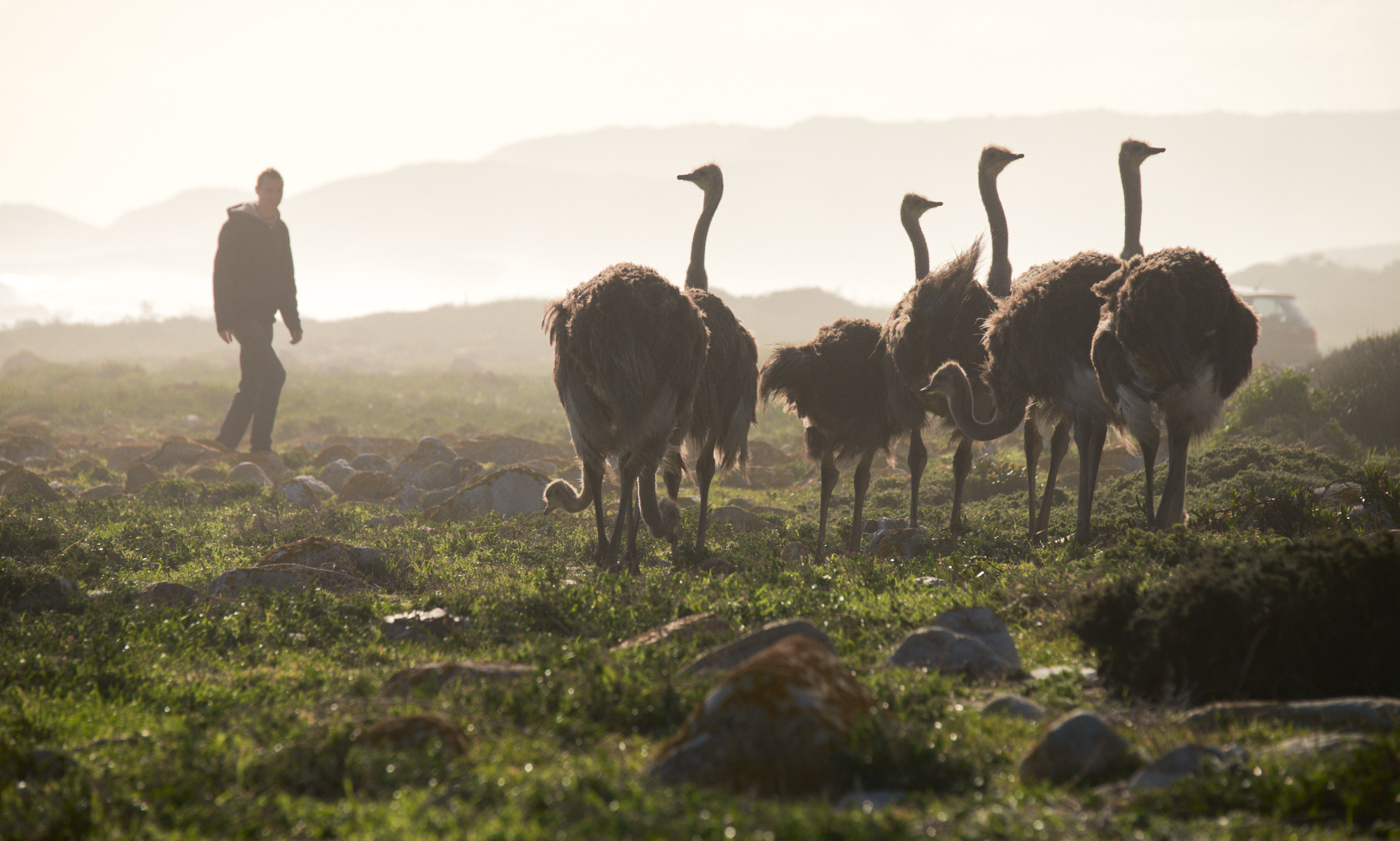 Outdoor & lifestyle. ≫ Nikita Tsarev ≫ Sports and event photographer