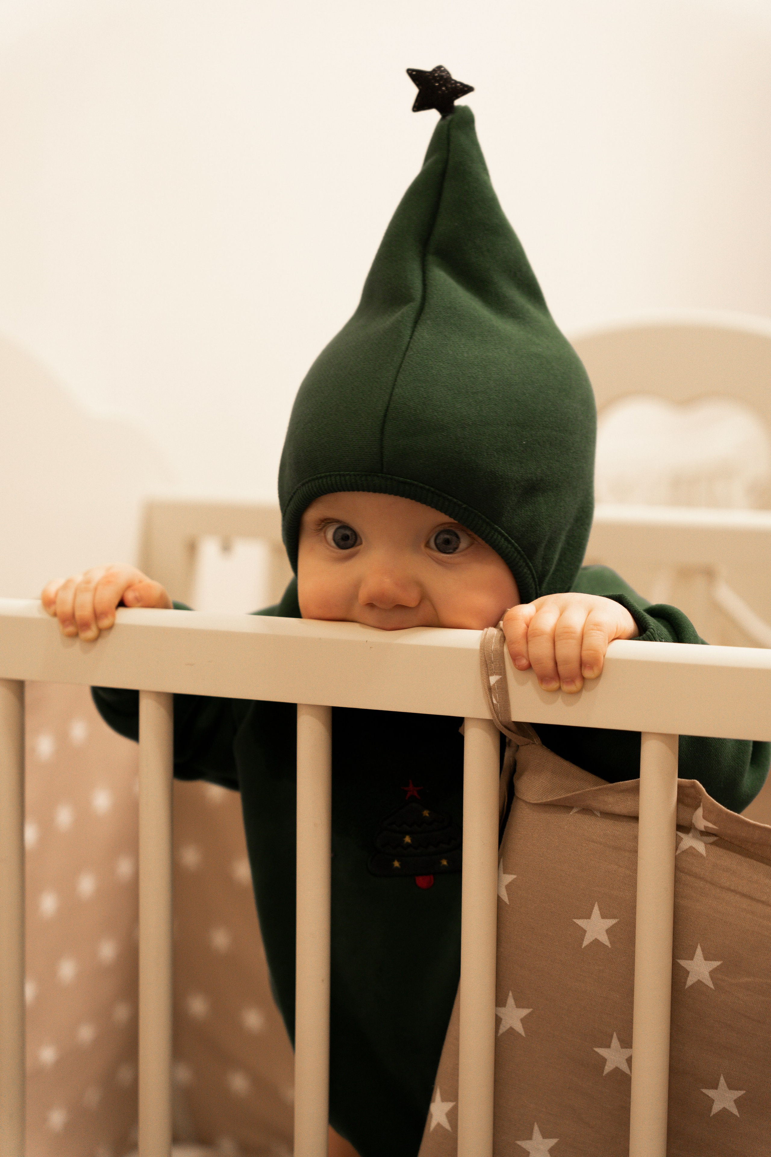 Новогодние тройняшки. Главная