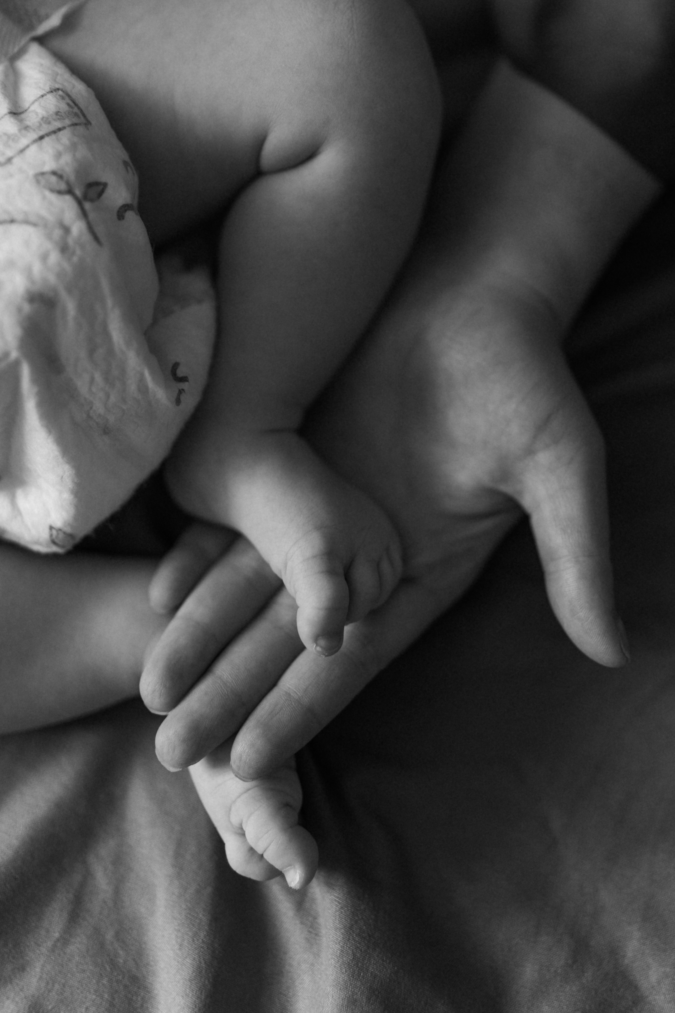 Юрий/Ксения и Ян. Фотограф в Санкт-Петербурге — Лучина Екатерина