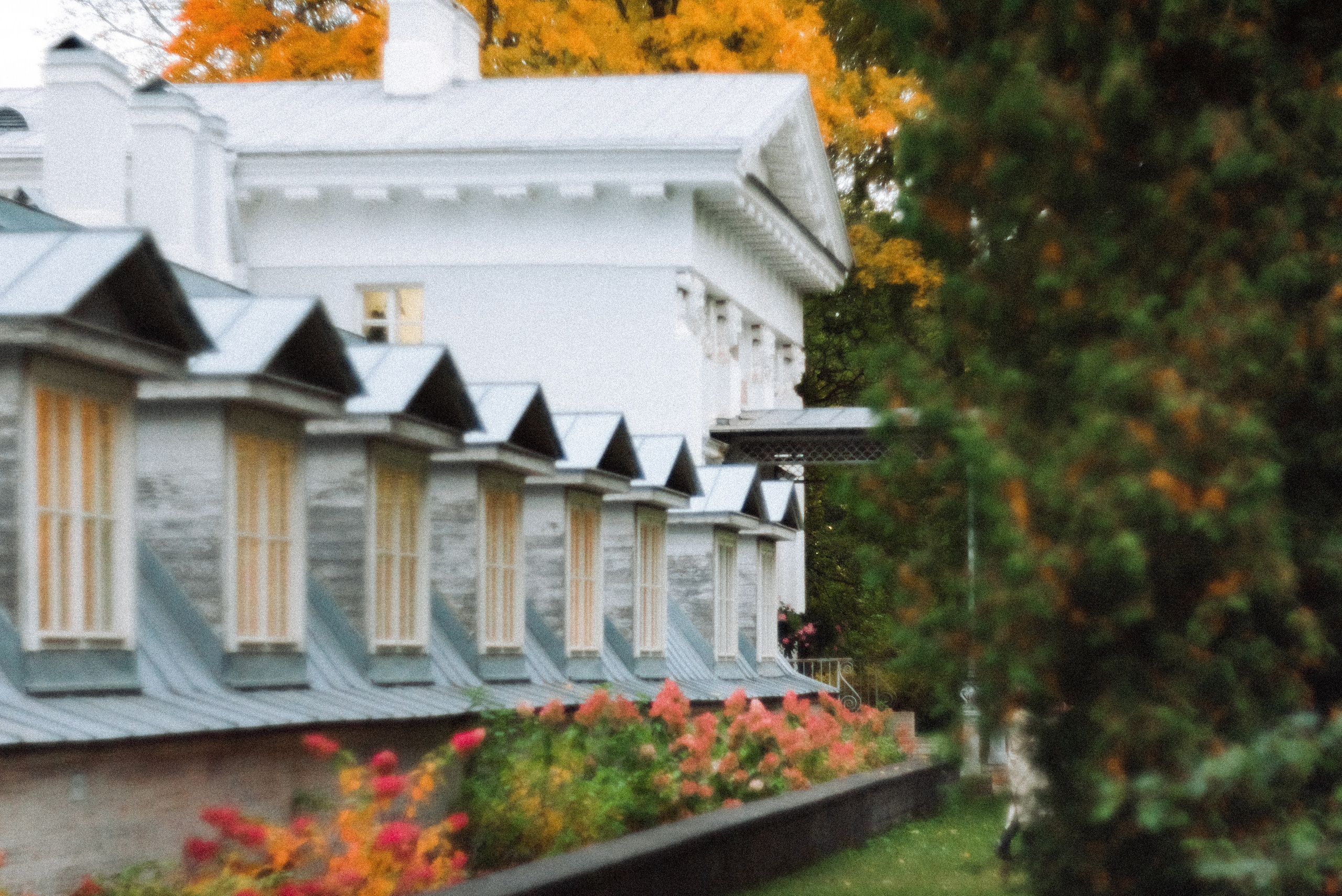 Autumn. Свадебный фотограф Санкт-Петербург DanyaPhotoart