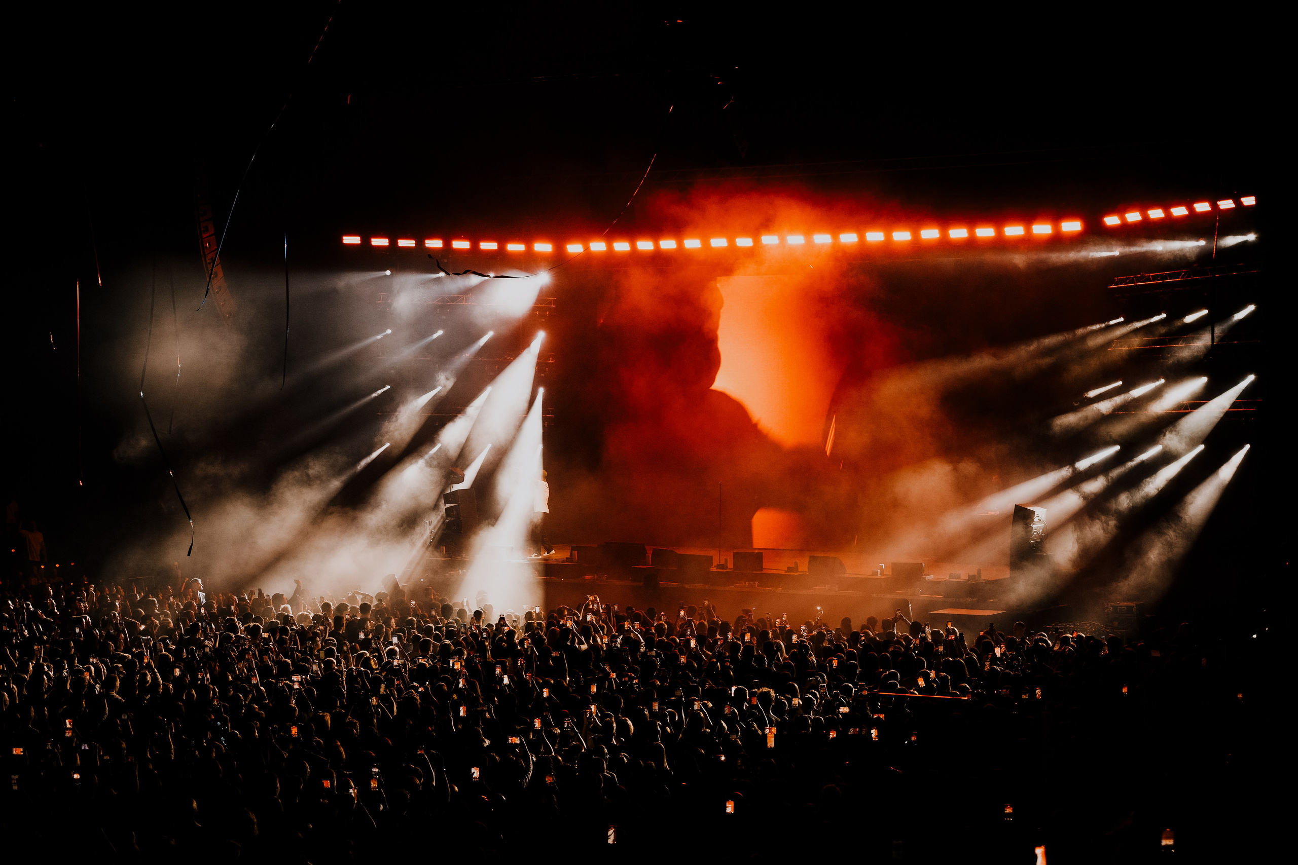 MACAN. Фотограф Москва