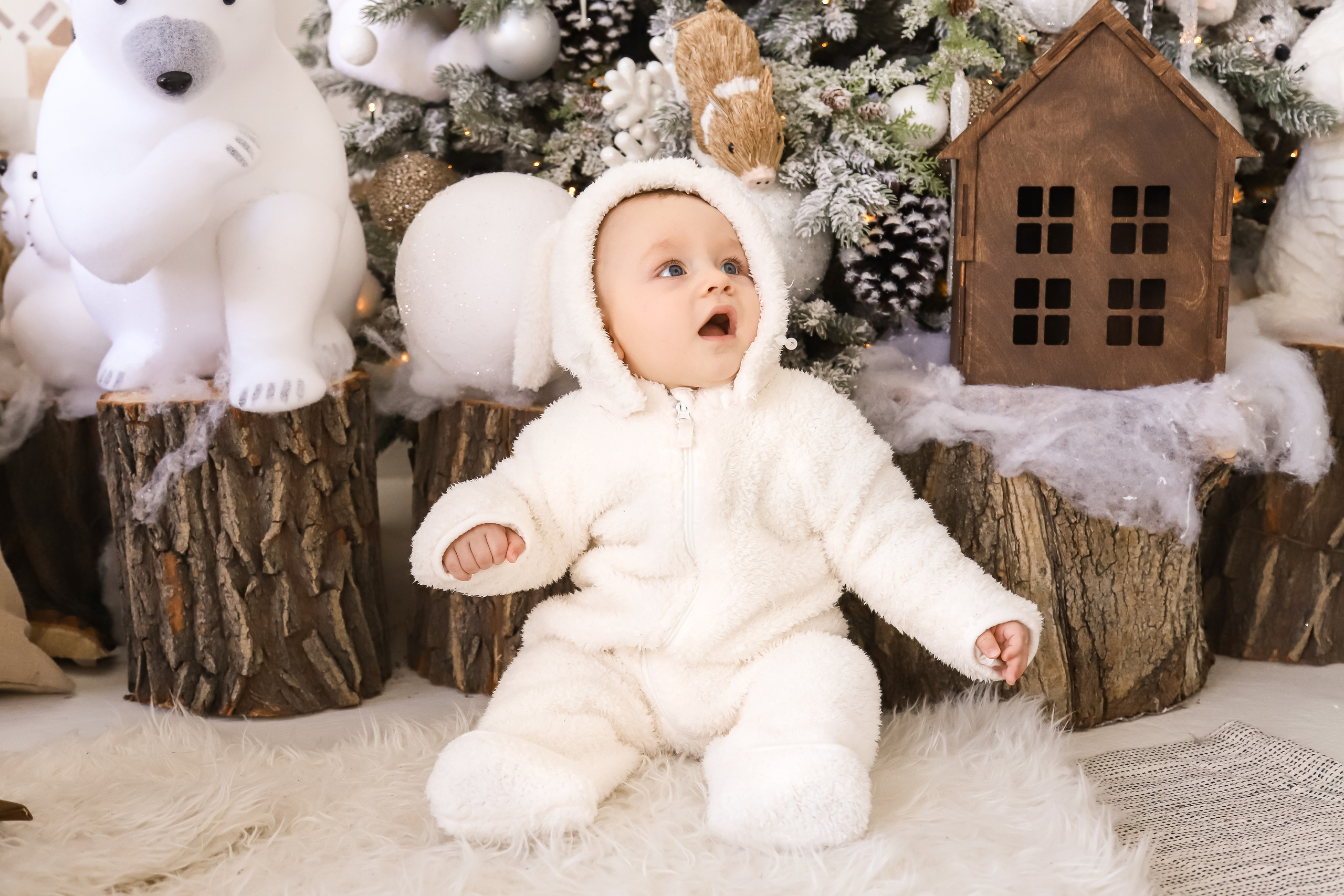 Новый год. Фотограф Новосибирск Анна Полонова