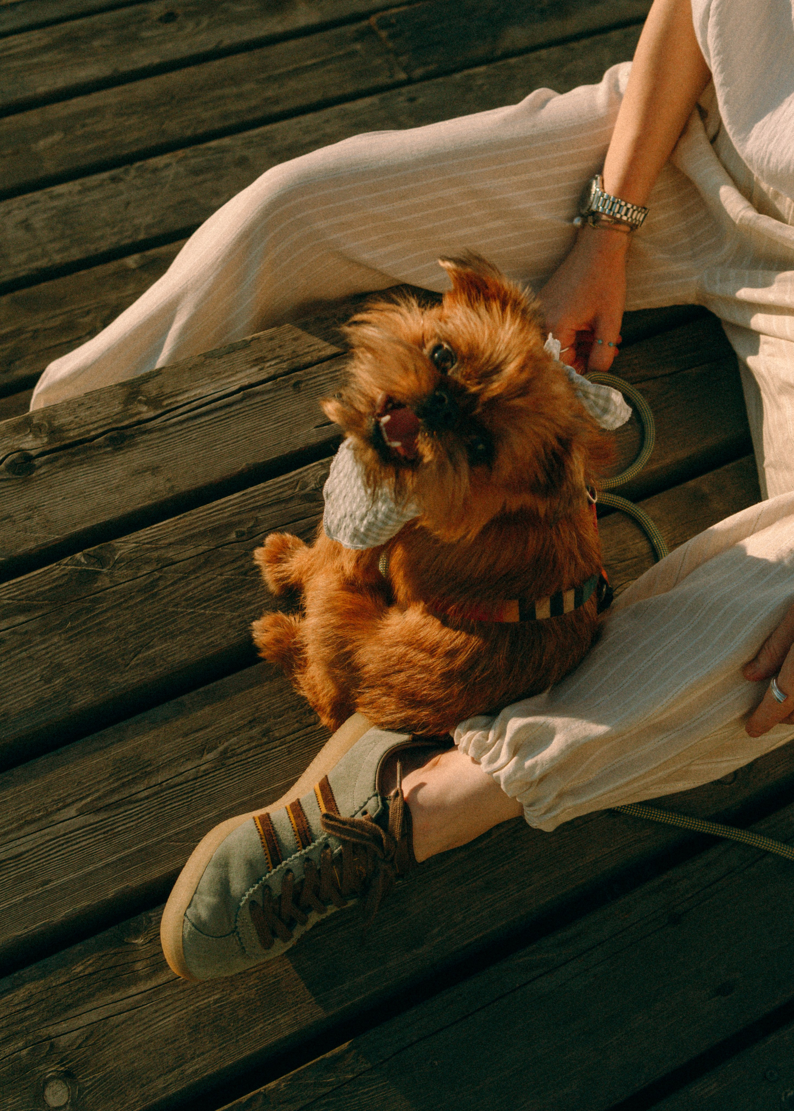 Лена и Альфи. Фотограф-анималист Ксения Воробьева, Москва