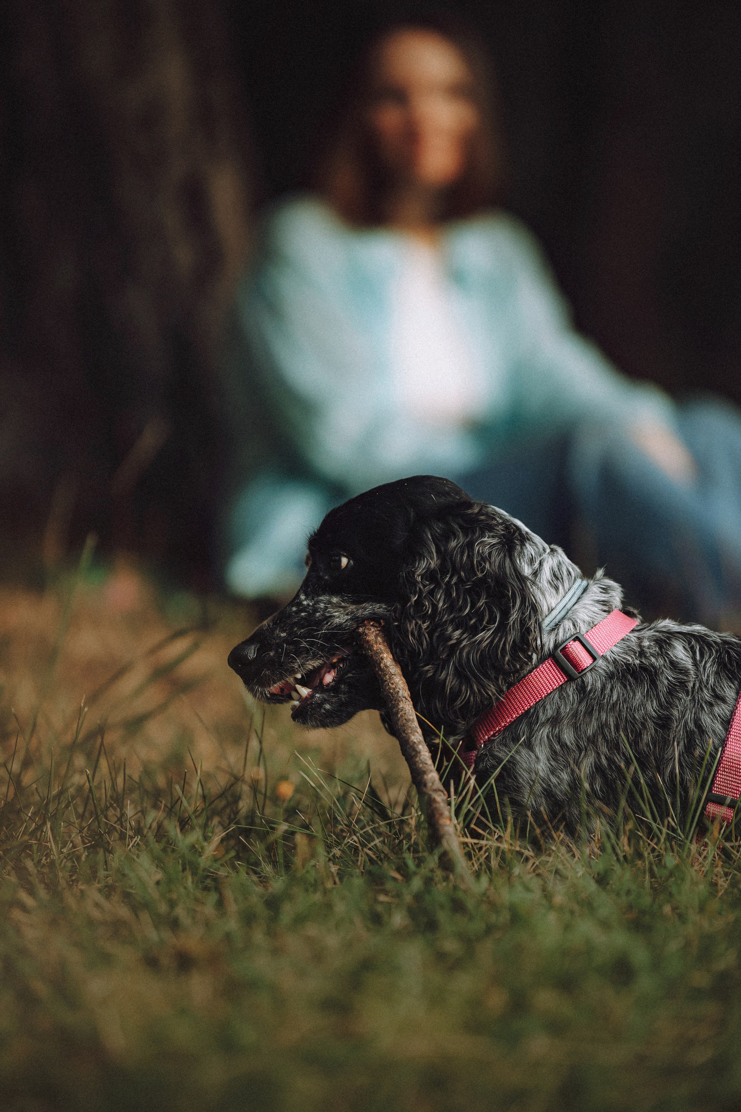 Маша и Ларри