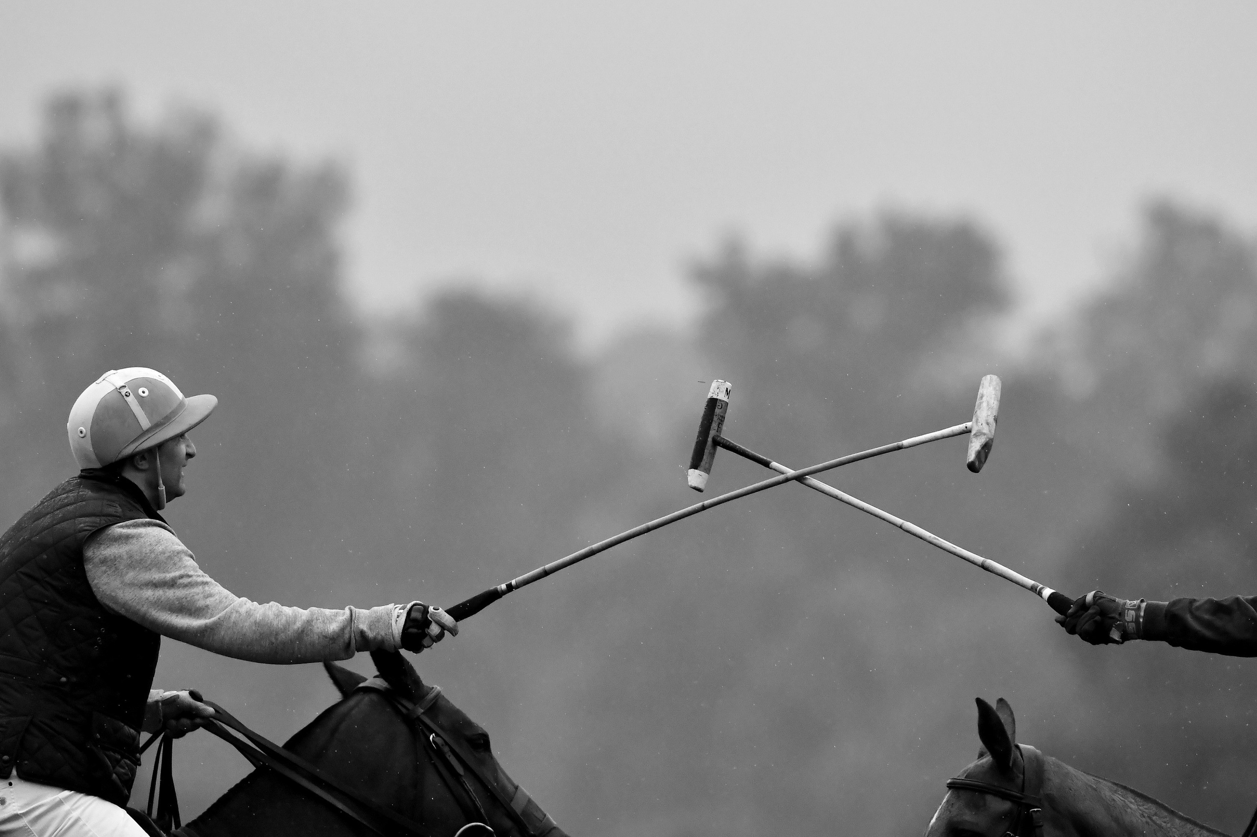 Polo art photos. Art photos of horses — ARTUR BABOEV | Photographer