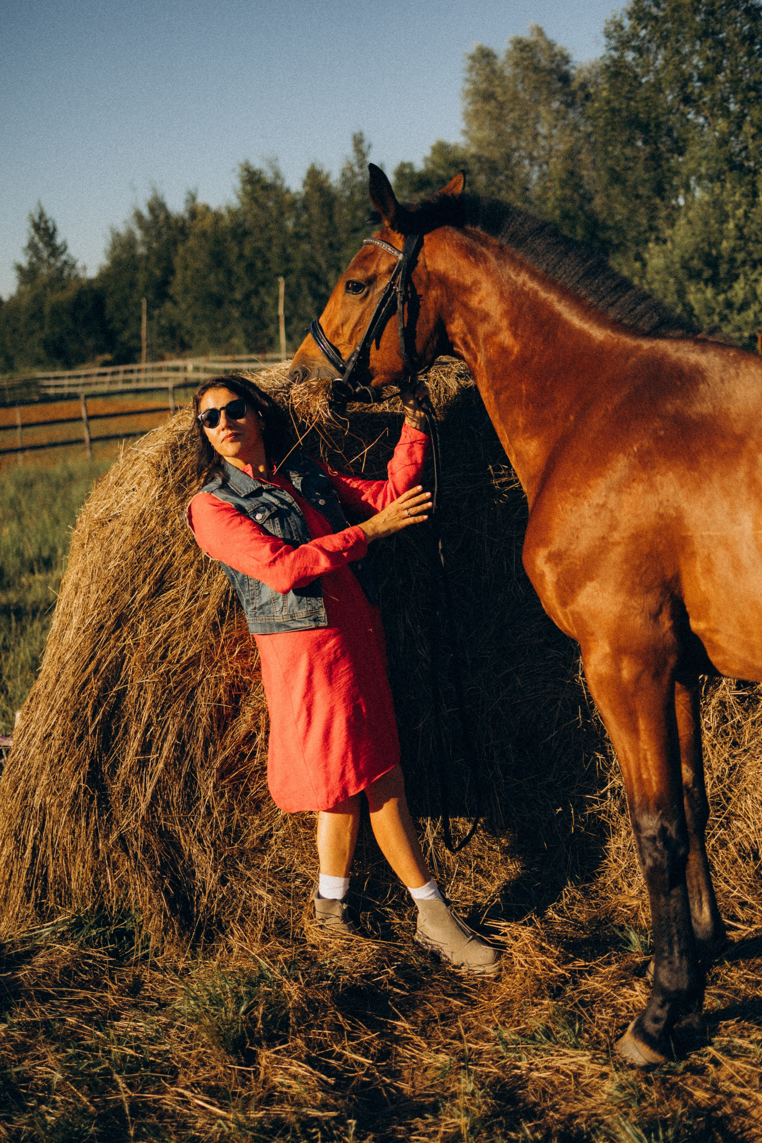 А в деревни лошади. Фотограф Москва Светлана Кирюшина