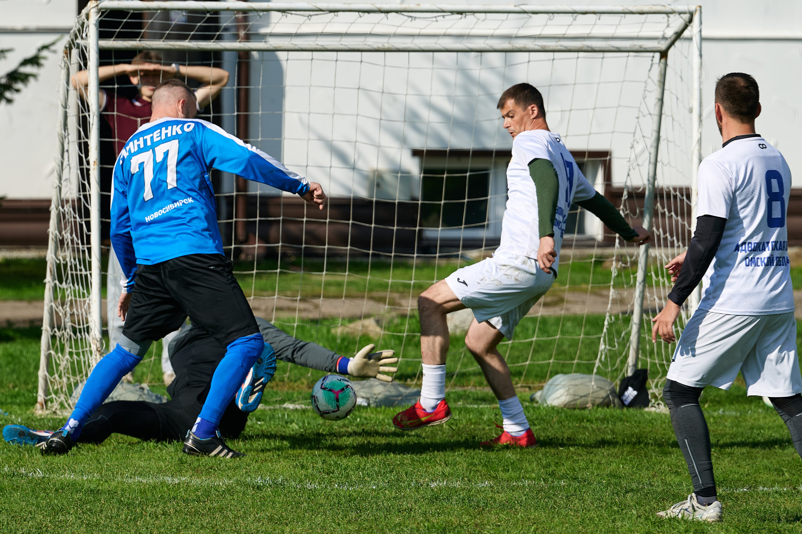 Спартакиада. Адвокаты. Фотограф Опыт Качество Скорость Горный Алтай Барнаул