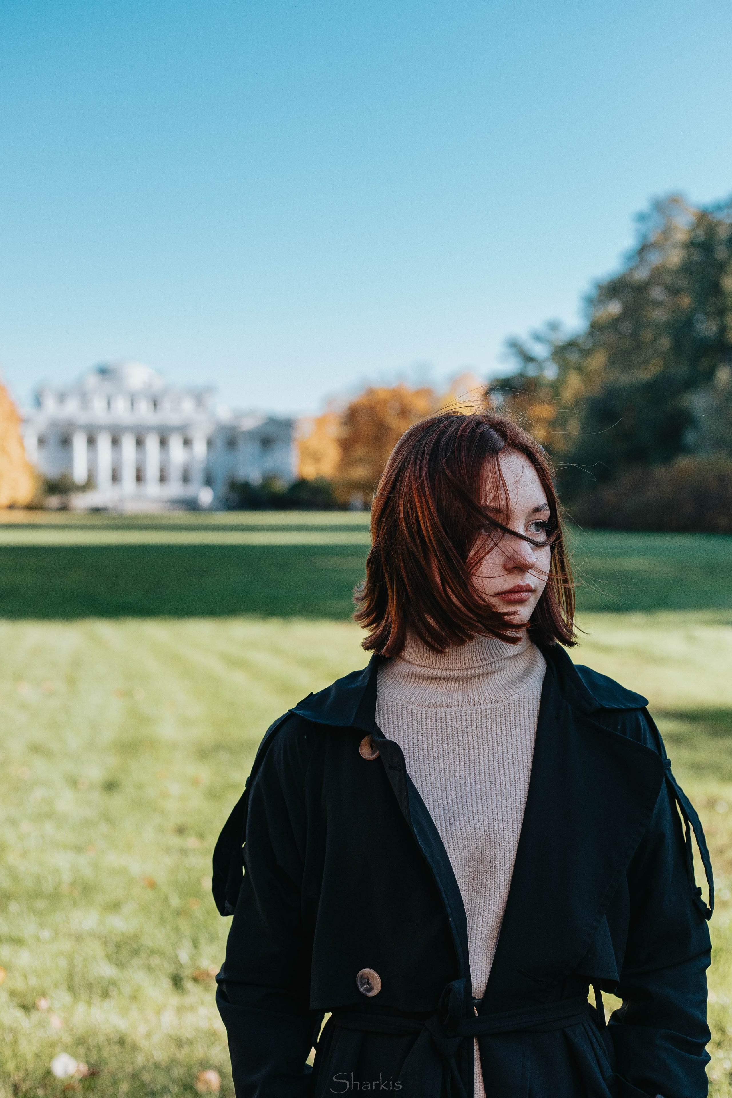 Света. Главная