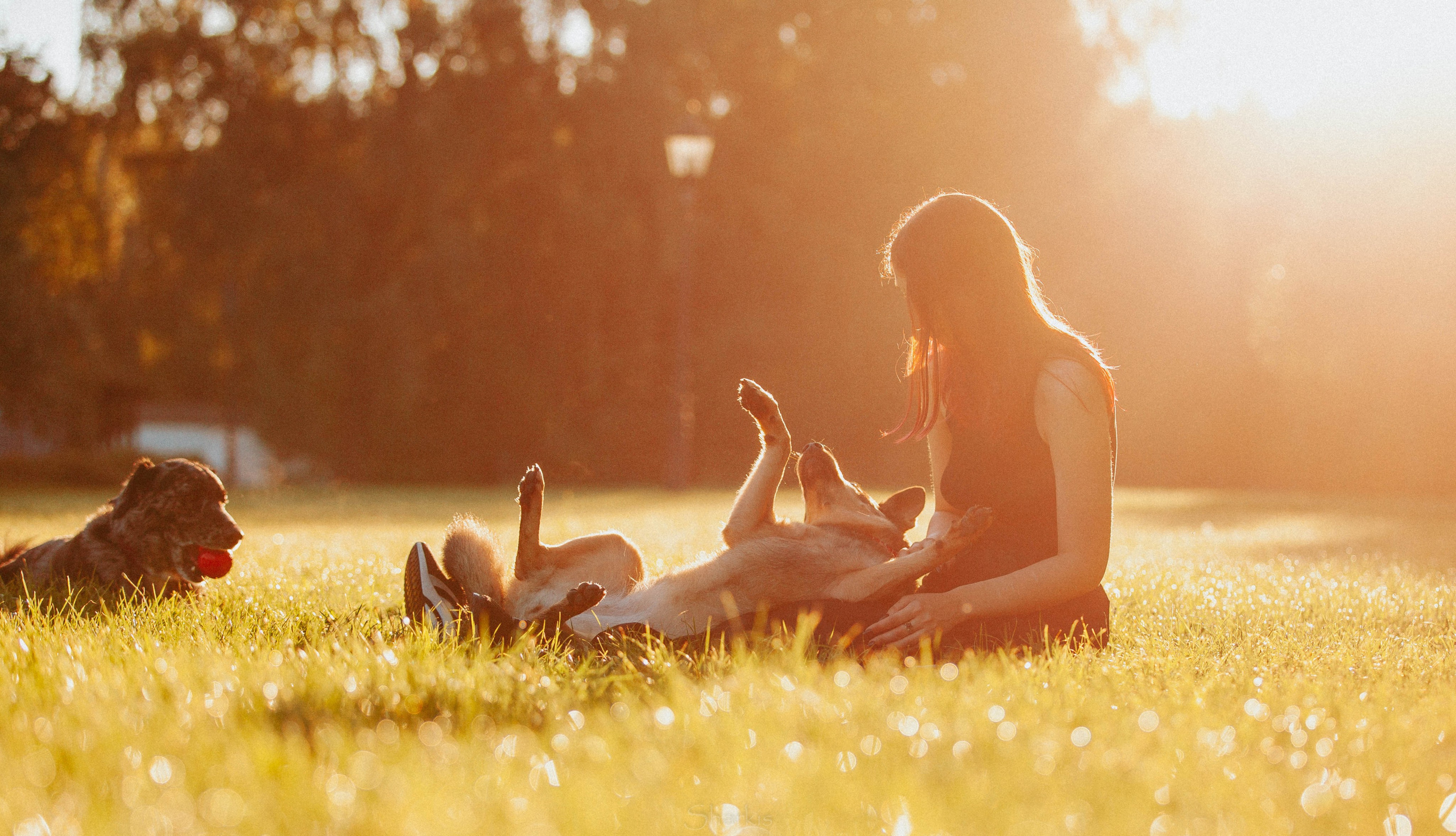 Вега и Гриша. Главная