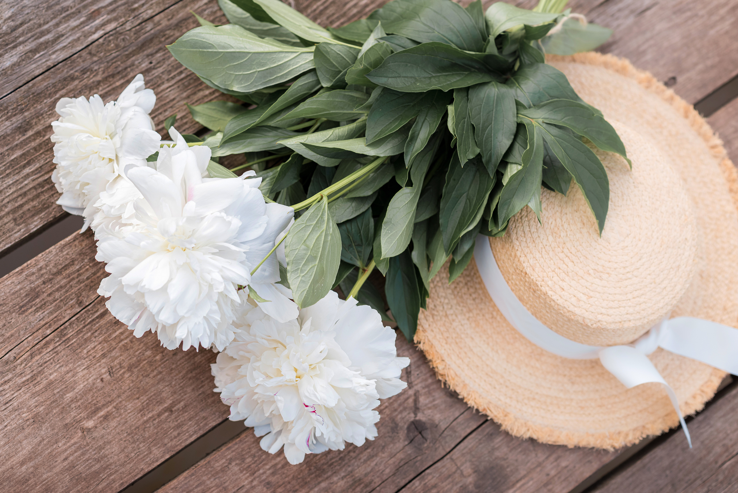 Фотосессии на природе