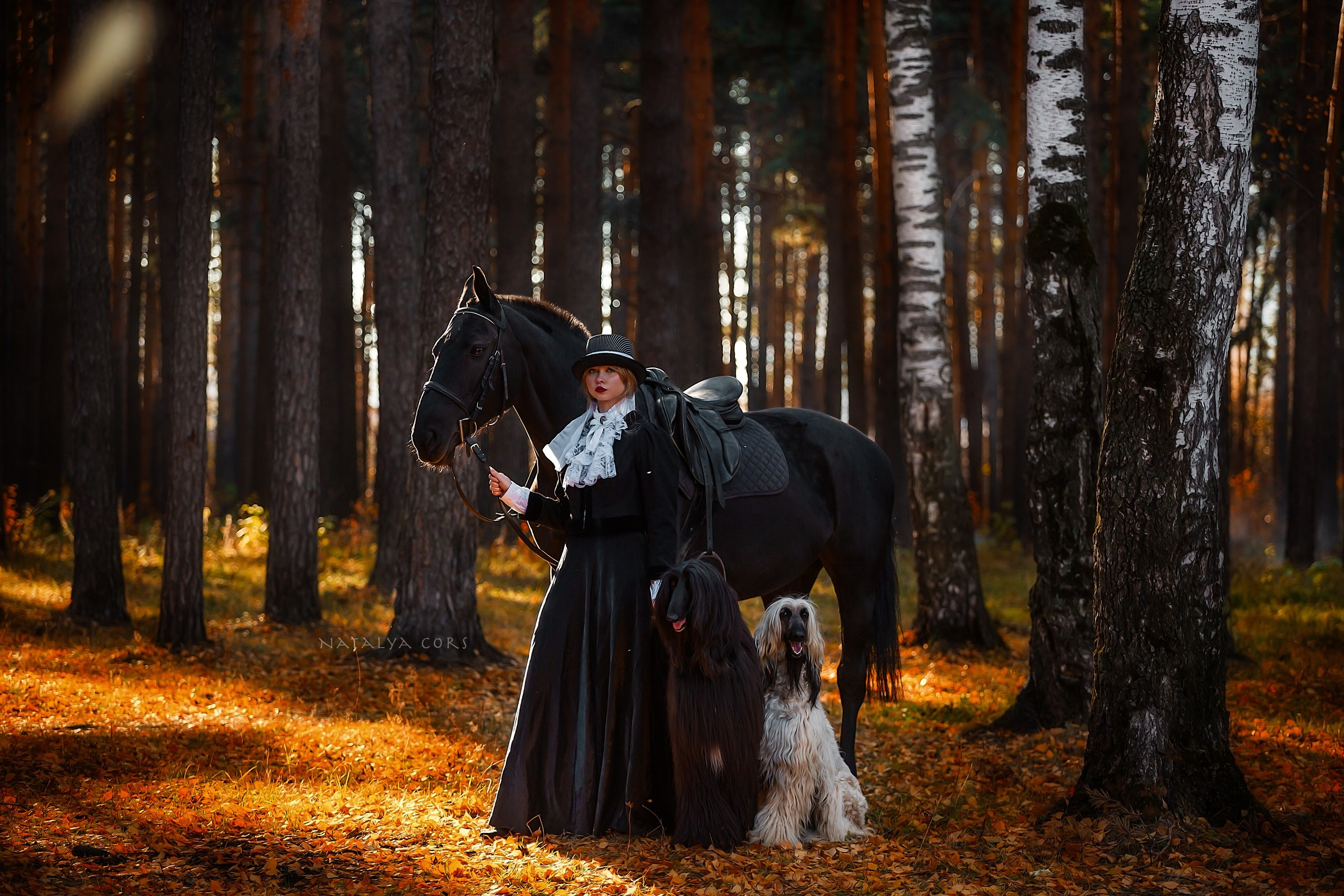 Фотосессия с лошадью. Фотограф Анималист Наталья Корс Екатеринбург