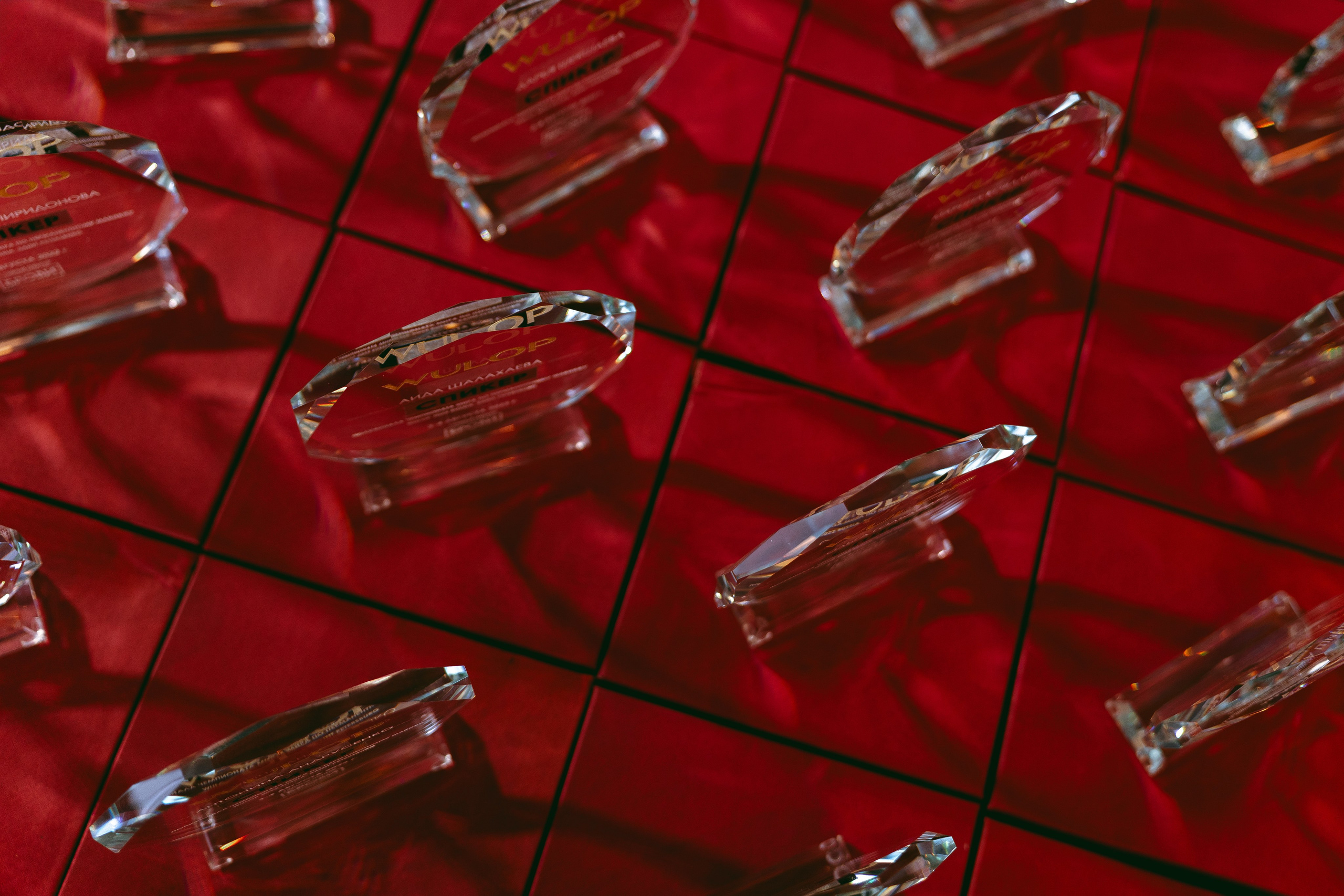 WULOP RUSSIA 2022. Корпоративный, имиджевый и промышленный фотограф — Максим Меш