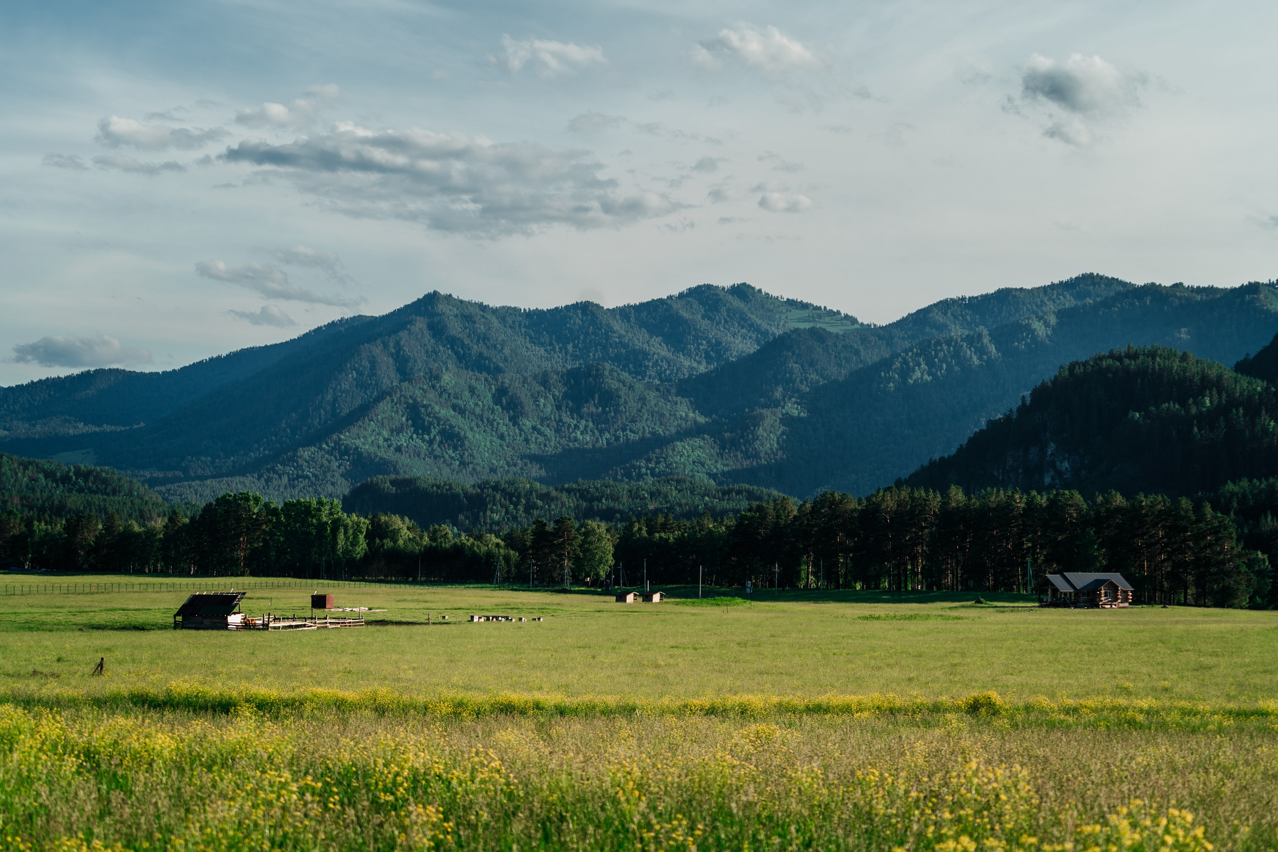 Алтай. Оператор и Фотограф в Санкт-Петербурге и Москве