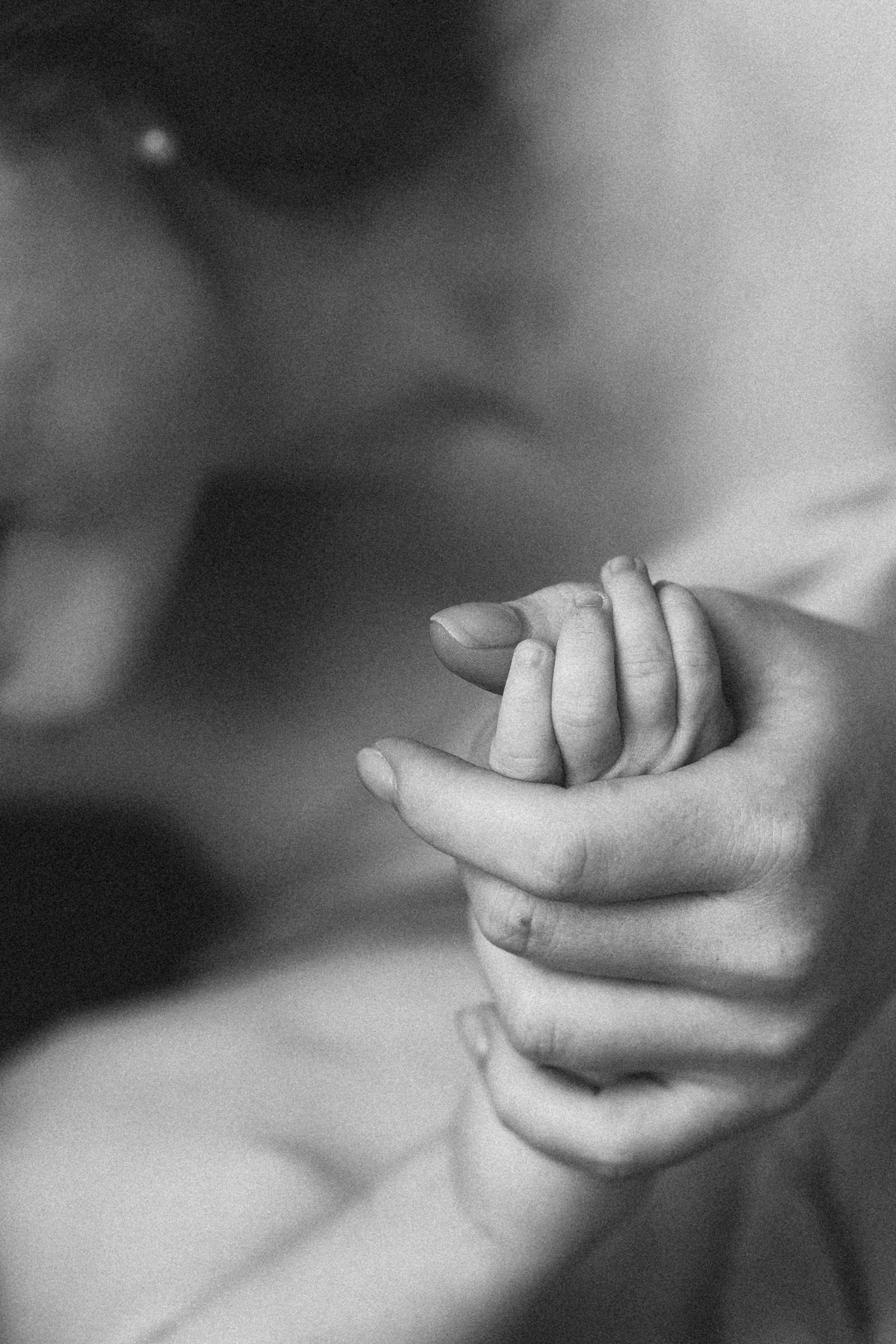 Катя, Арсений. Семейный фотограф Оля Гладченко